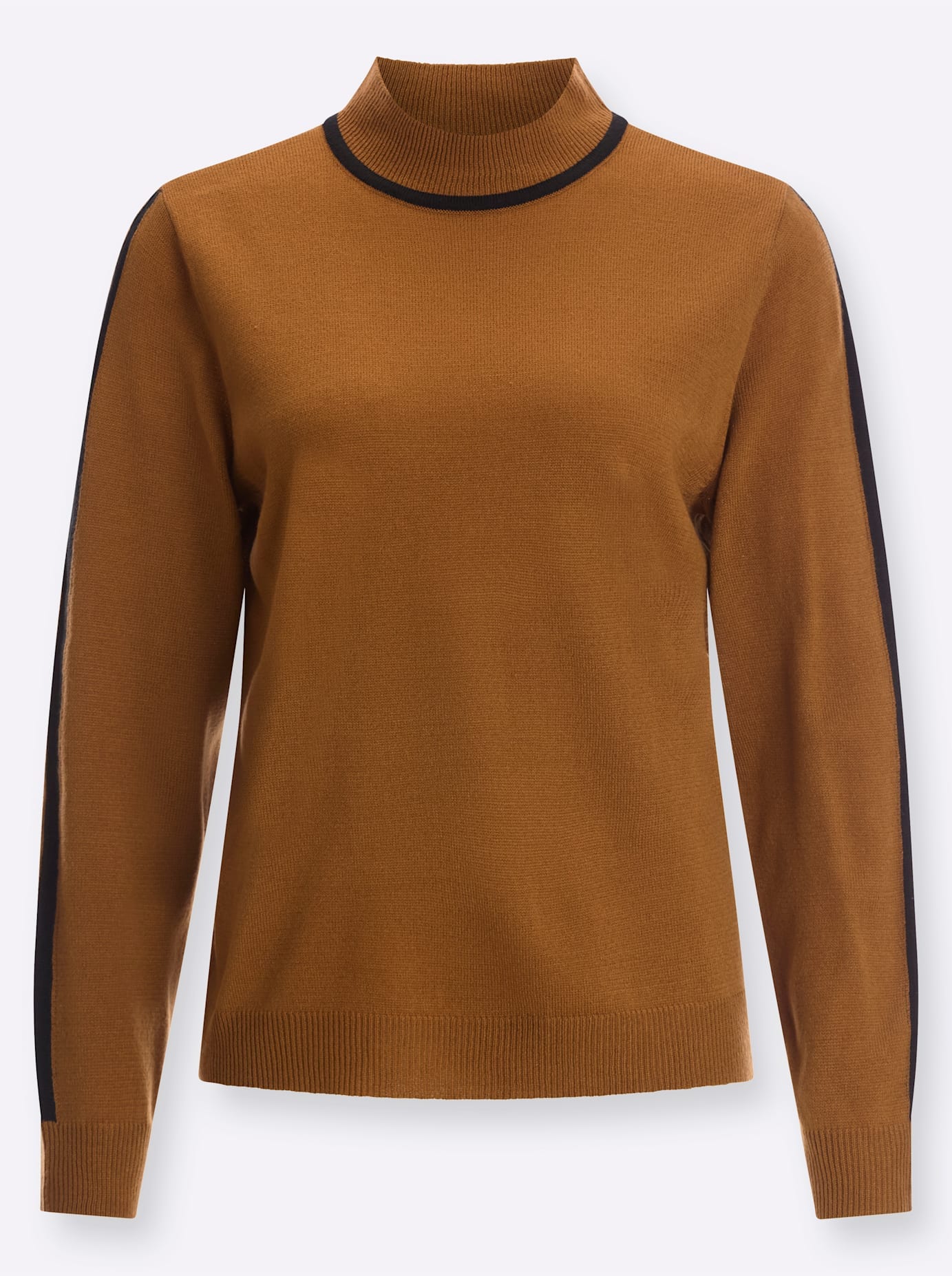 Classic Basics Stehkragenpullover »Langarm-Pullover«