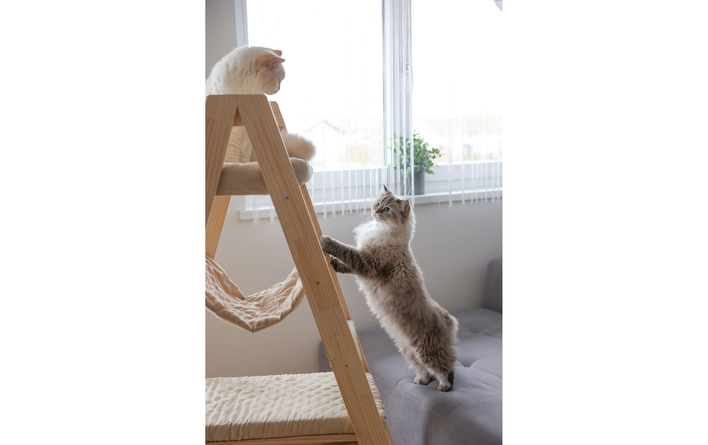 Kerbl Kratzbaum »Ladder 97 cm x 39.5 cm x 134 cm«, hoch