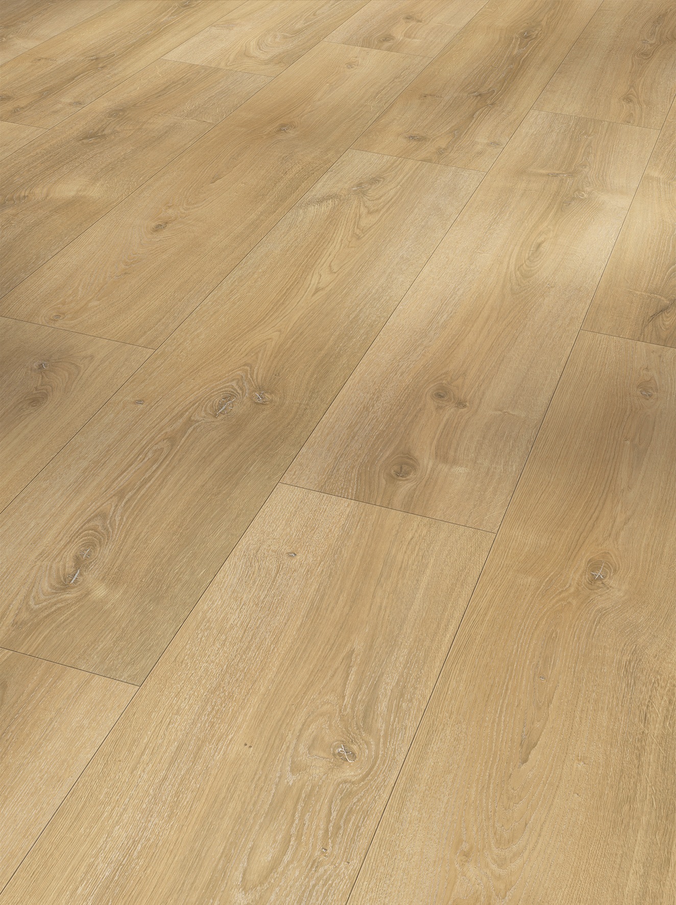Image of PARADOR Laminat »Hydron 600 Eiche Nova Gekälkt«, (Set), Naturstruktur, Verlegefläche: 1,87 m², matt, für Fussbodenheizung geeignet bei Ackermann Versand Schweiz