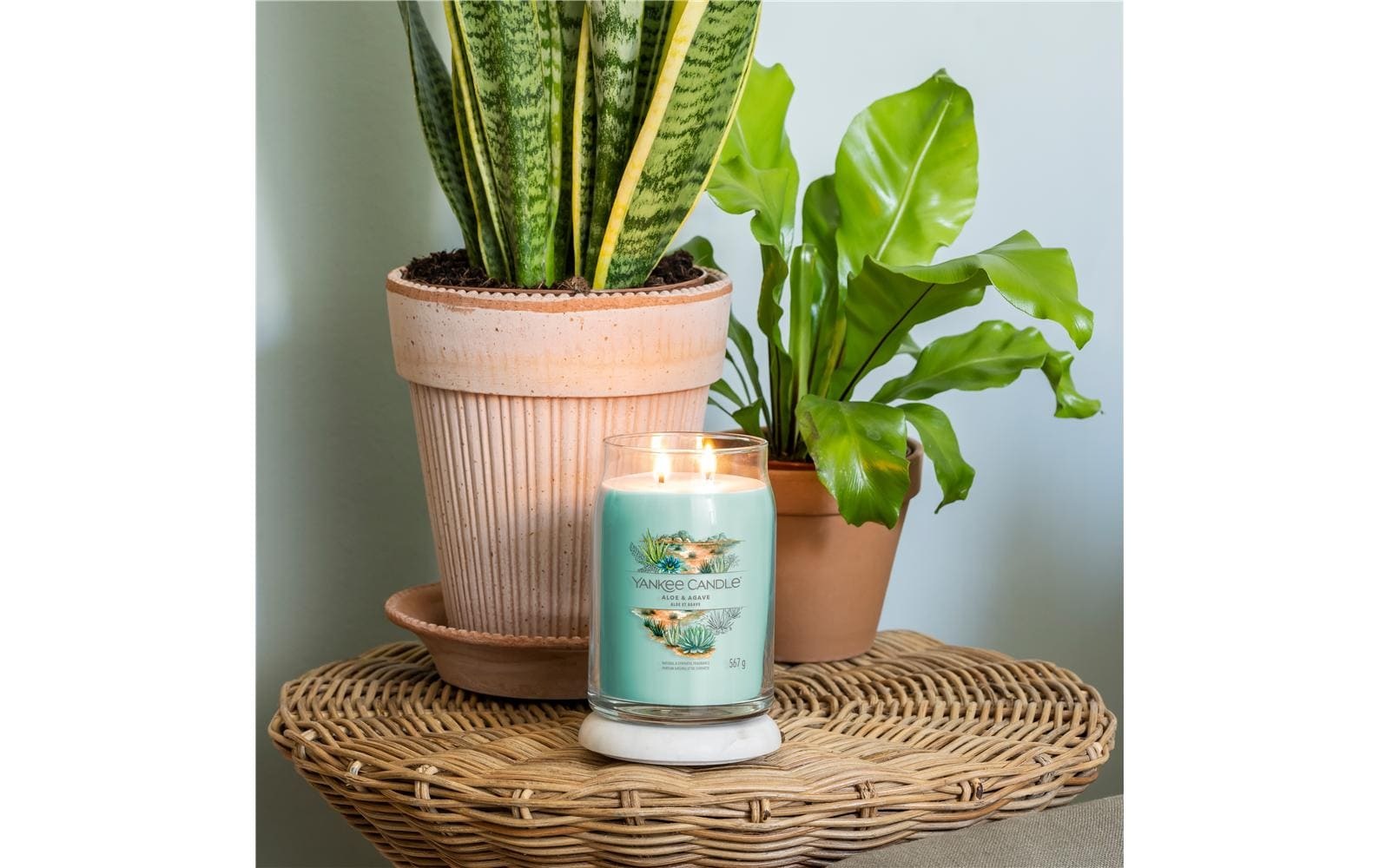 Duftkerze »Yankee Candle Signature Aloe & Agave Large Jar«