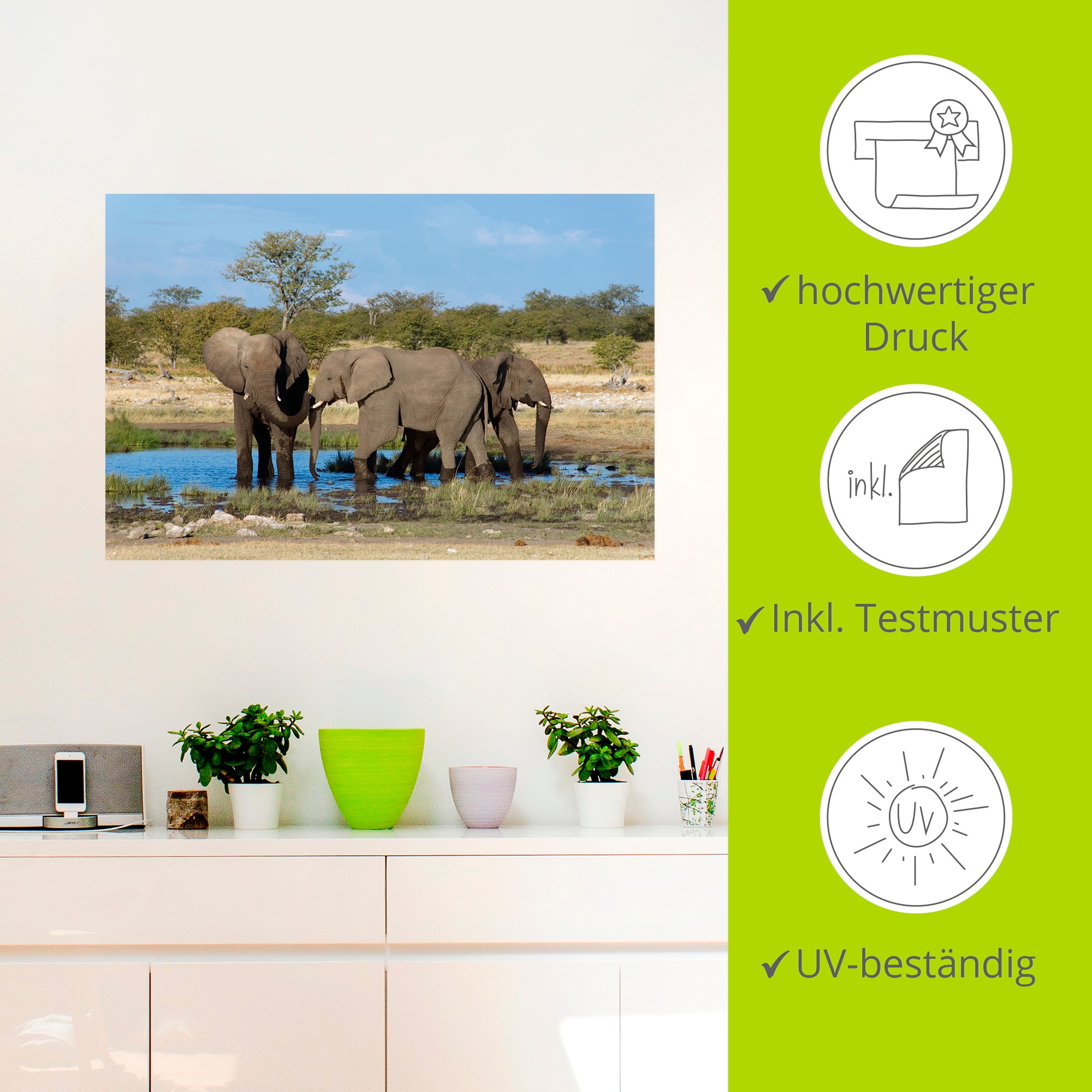 Artland Wandbild »Afrikanischer Elefant EtoshaNationalpark«, Elefanten Bilder, (1 St.), als Leinwandbild, Wandaufkleber in verschied. Grössen