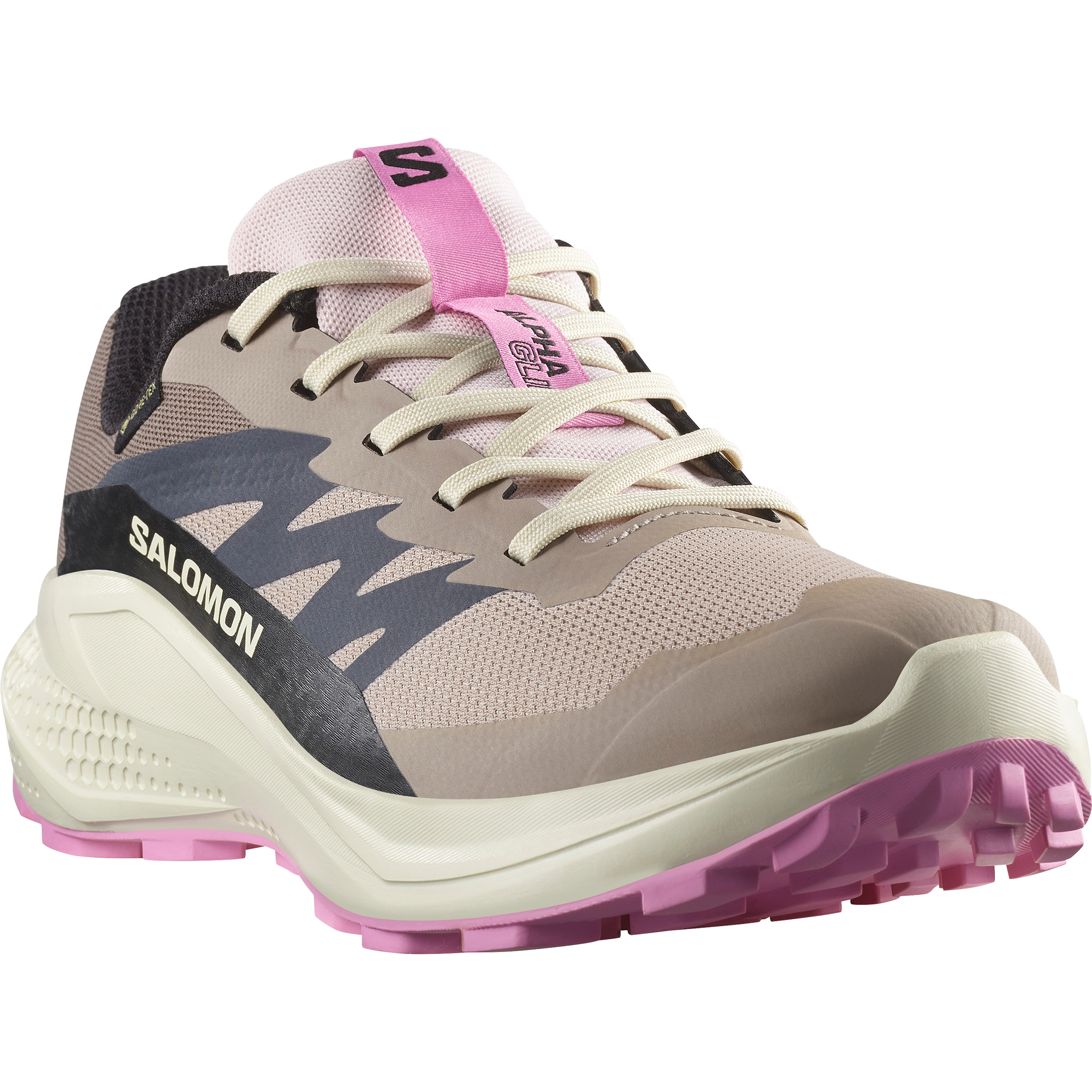 Salomon Laufschuh »ALPHAGLIDE GORE-TEX W«  wasserdicht
