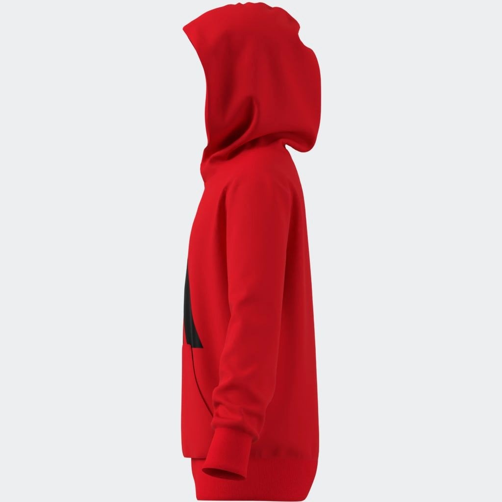 adidas Sportswear Sweat à capuche »J BL FT HD 280«