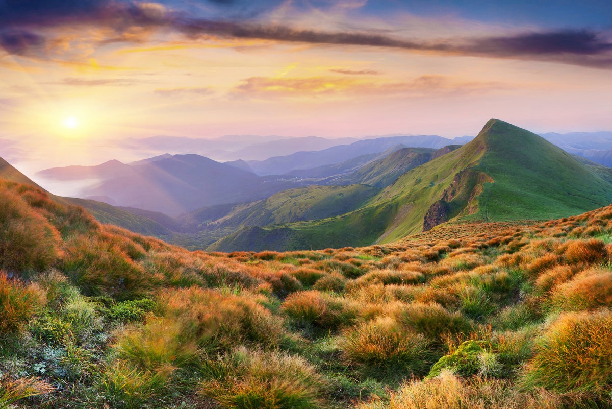 Image of Papermoon Fototapete »Garten mit Blumen«, Vliestapete, hochwertiger Digitaldruck, inklusive Kleister bei Ackermann Versand Schweiz