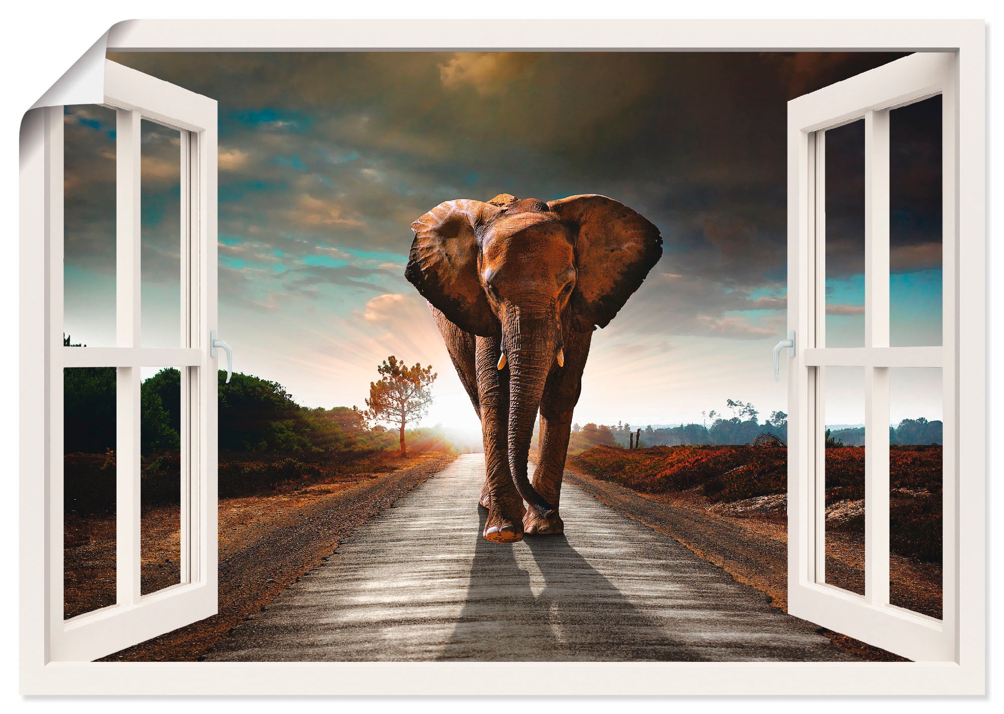 Image of Artland Wandbild »Elefant auf Strasse«, Fensterblick, (1 St.), in vielen Grössen & Produktarten -Leinwandbild, Poster, Wandaufkleber / Wandtattoo auch für Badezimmer geeignet bei Ackermann Versand Schweiz