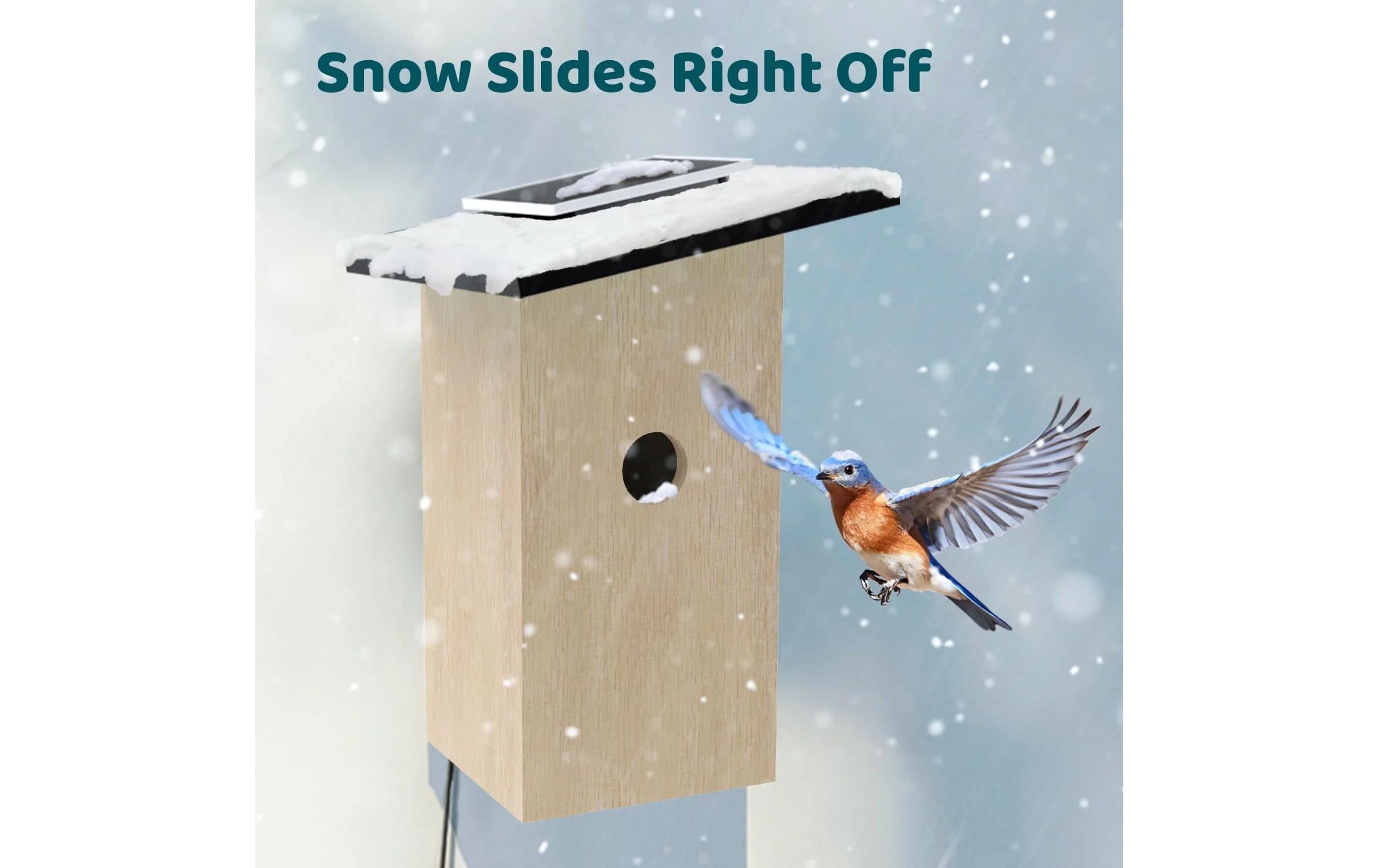 Birdfy Vogelhaus »Nistkasten mit Kamera und Solar«