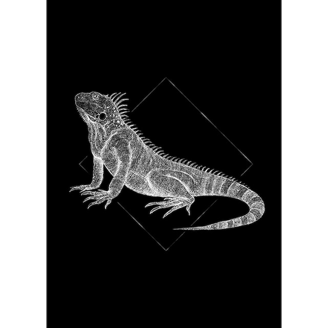 Komar Poster »Iguana Black«, Tiere, (Packung, 1 St., Anzahl Teile 1),  Kinderzimmer, Schlafzimmer, Wohnzimmer versandkostenfrei auf