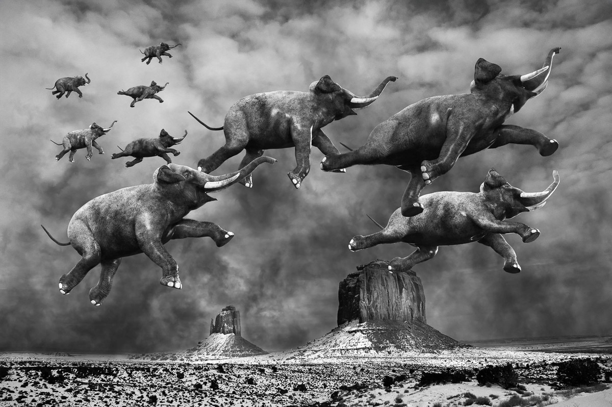 Image of Papermoon Fototapete »Surreale fliegende Elefanten«, Vliestapete, hochwertiger Digitaldruck, inklusive Kleister bei Ackermann Versand Schweiz