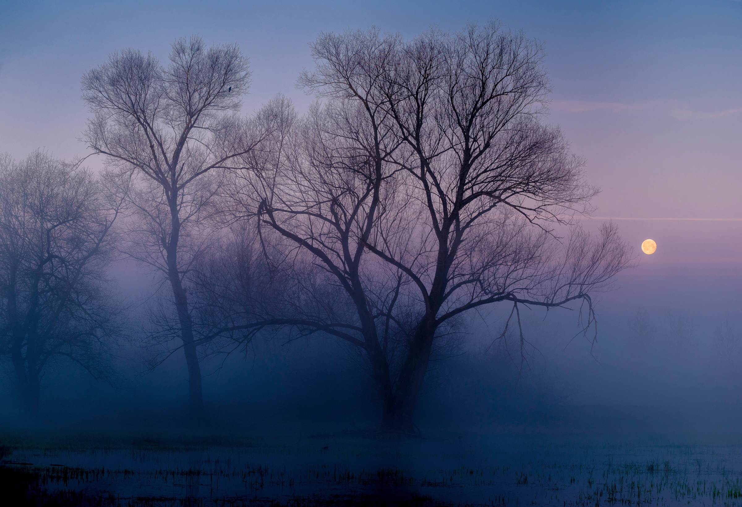 Image of Papermoon Fototapete "Photo-Art ANDREAS AGAZZI, EIN WEITERER NEUER TAG"