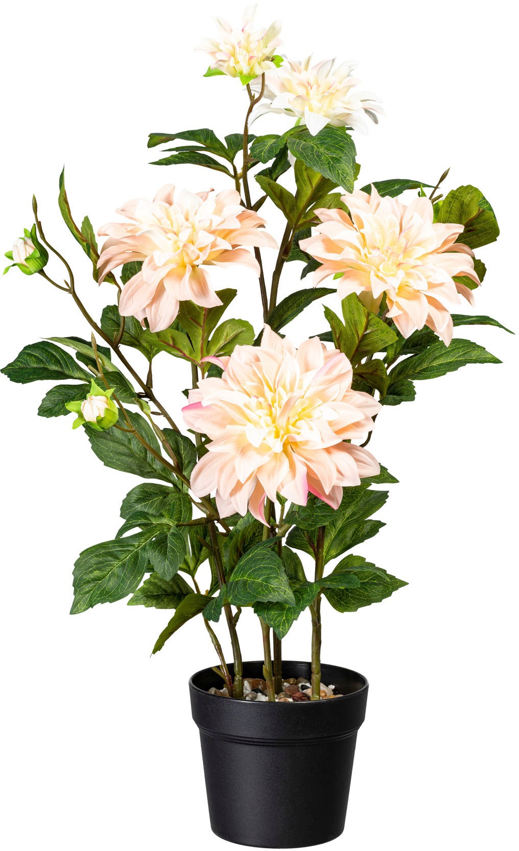 Image of Creativ green Kunstpflanze »Dahlie«, (1 St.) bei Ackermann Versand Schweiz