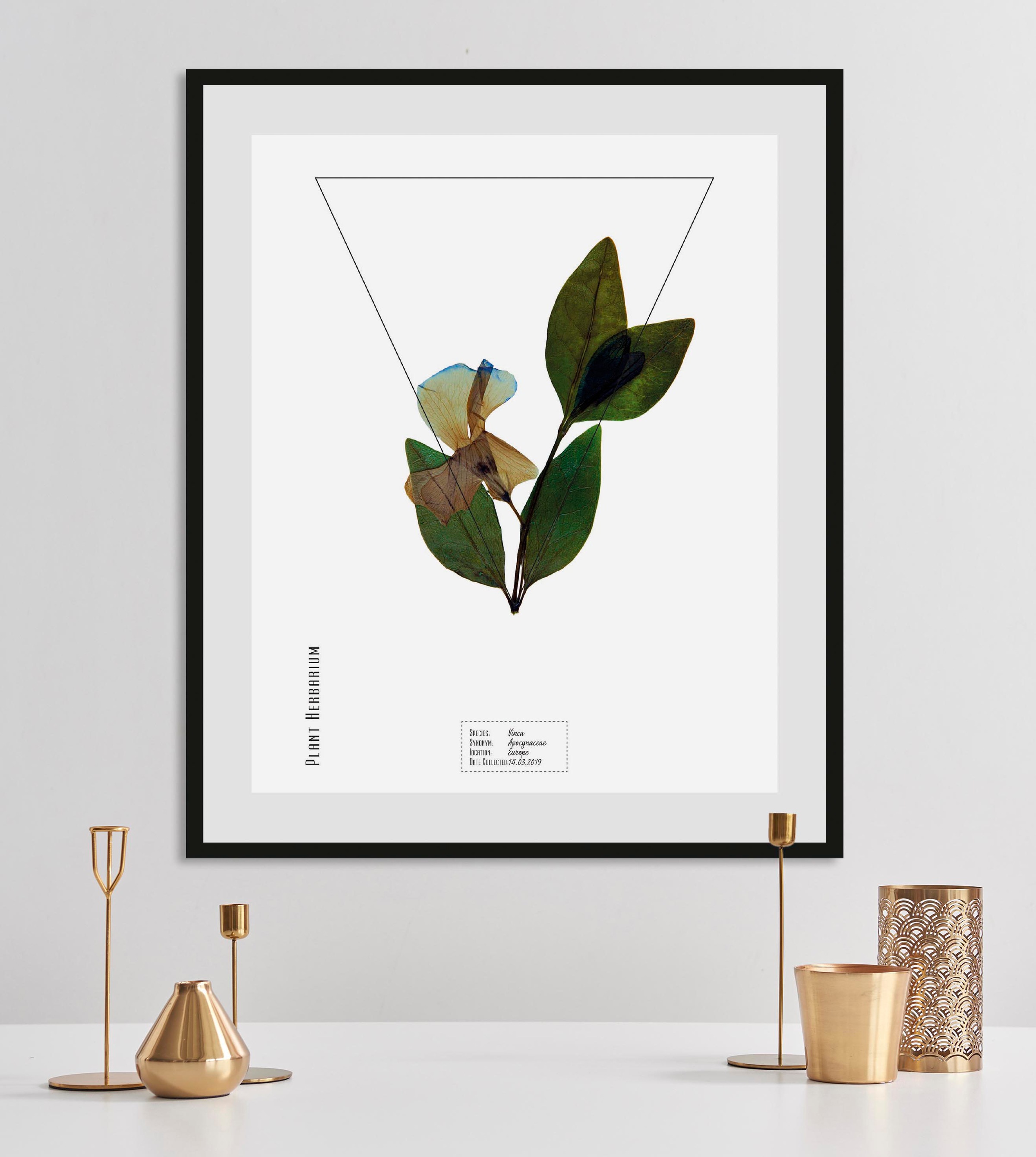 Image of queence Bild "Vinca" Pflanzen Pflanzenbilder Schriftzug 1 Stk. tlg. HD Premium Poster-Druck inkl. Holzrahmen