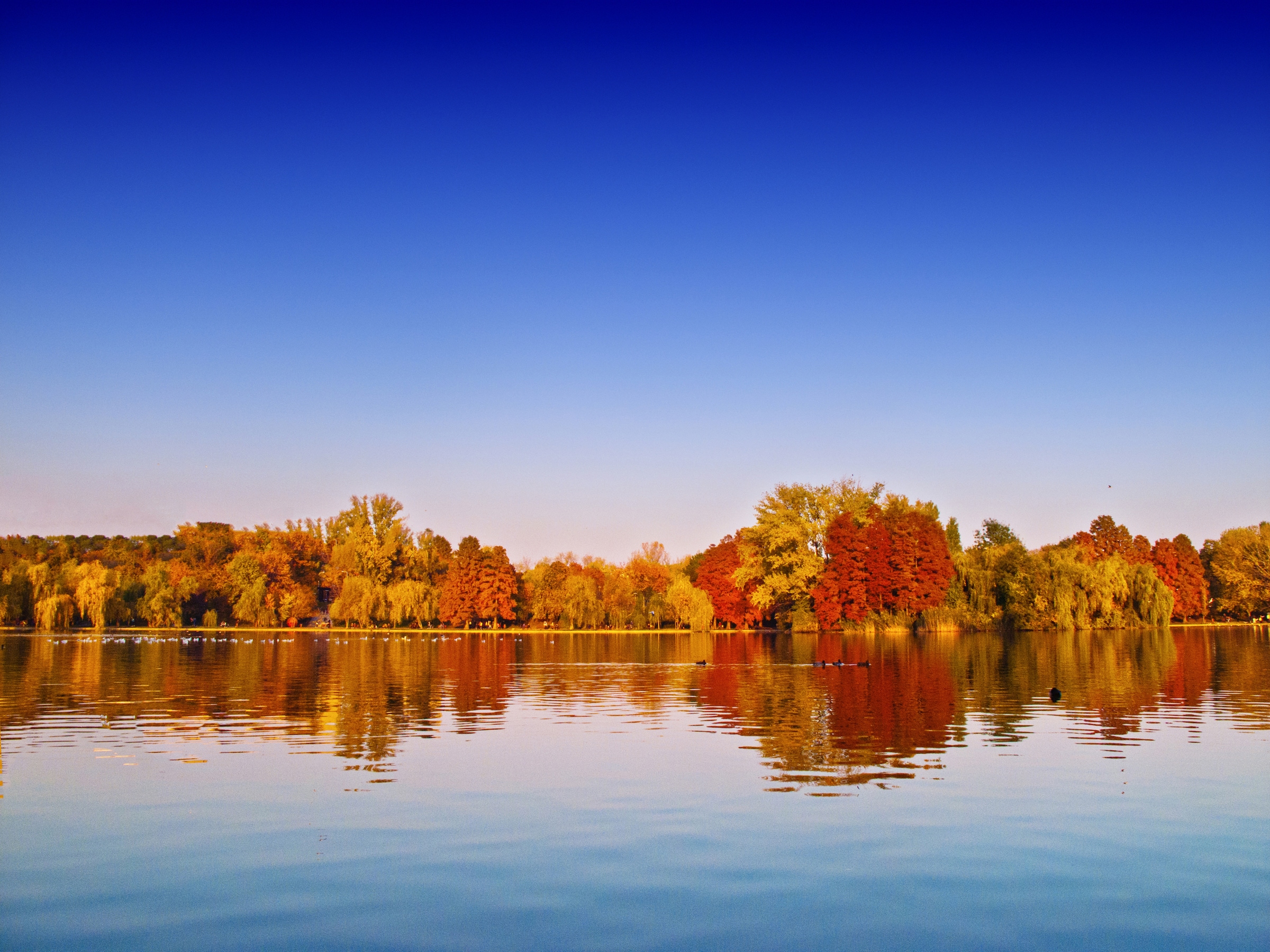 Fototapete »Autumn Lake«