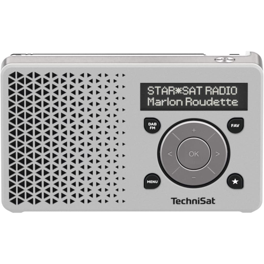 TechniSat Digitalradio (DAB+) »1 Silber«, (Digitalradio (DAB+)-FM-Tuner)