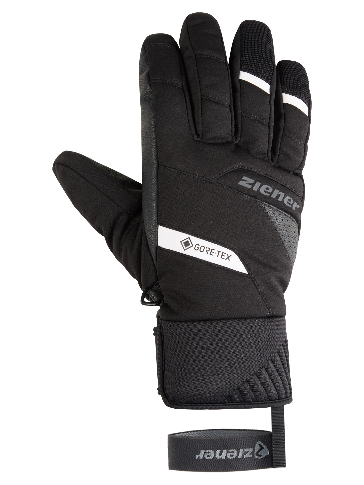 Ziener Gants de ski »GOKONI-Z GTX PR glove man«