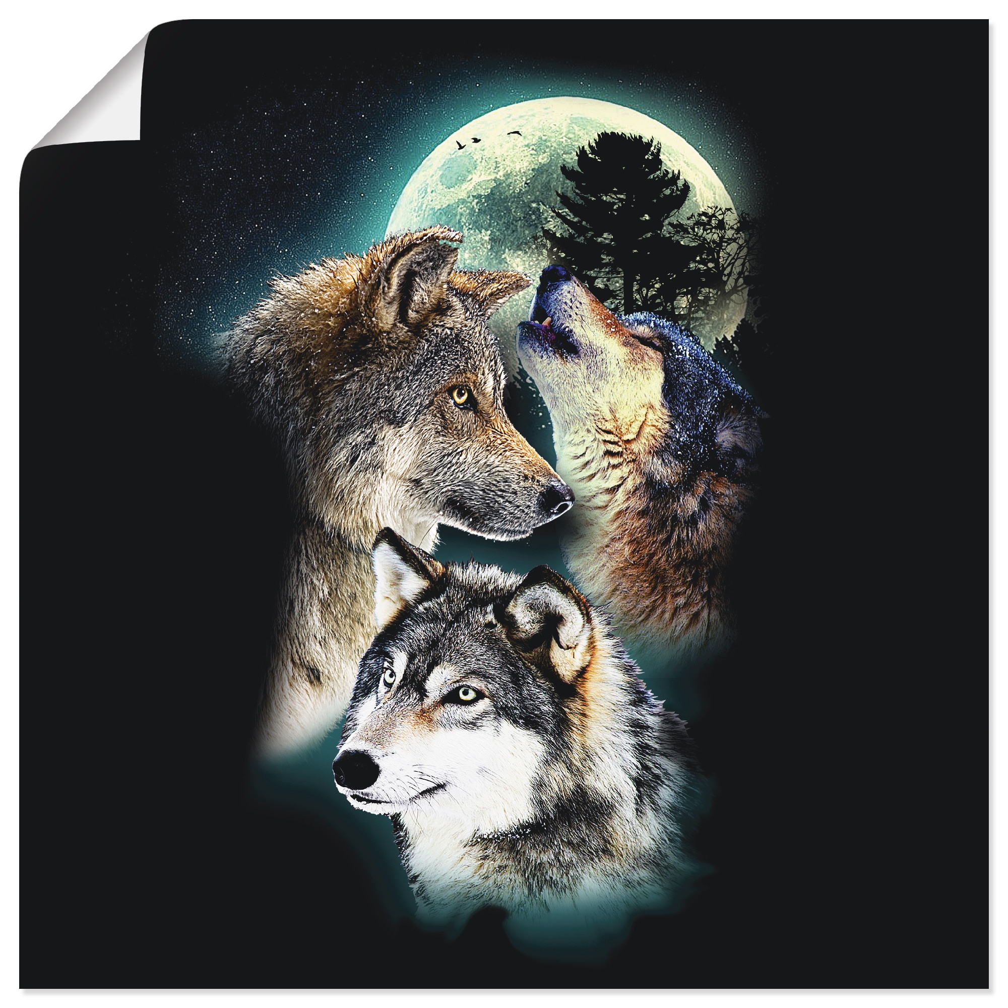 Image of Artland Poster "Phantasie Wolf Wölfe mit Mond" Wildtiere 1 Stk. tlg. ohne Rahmen