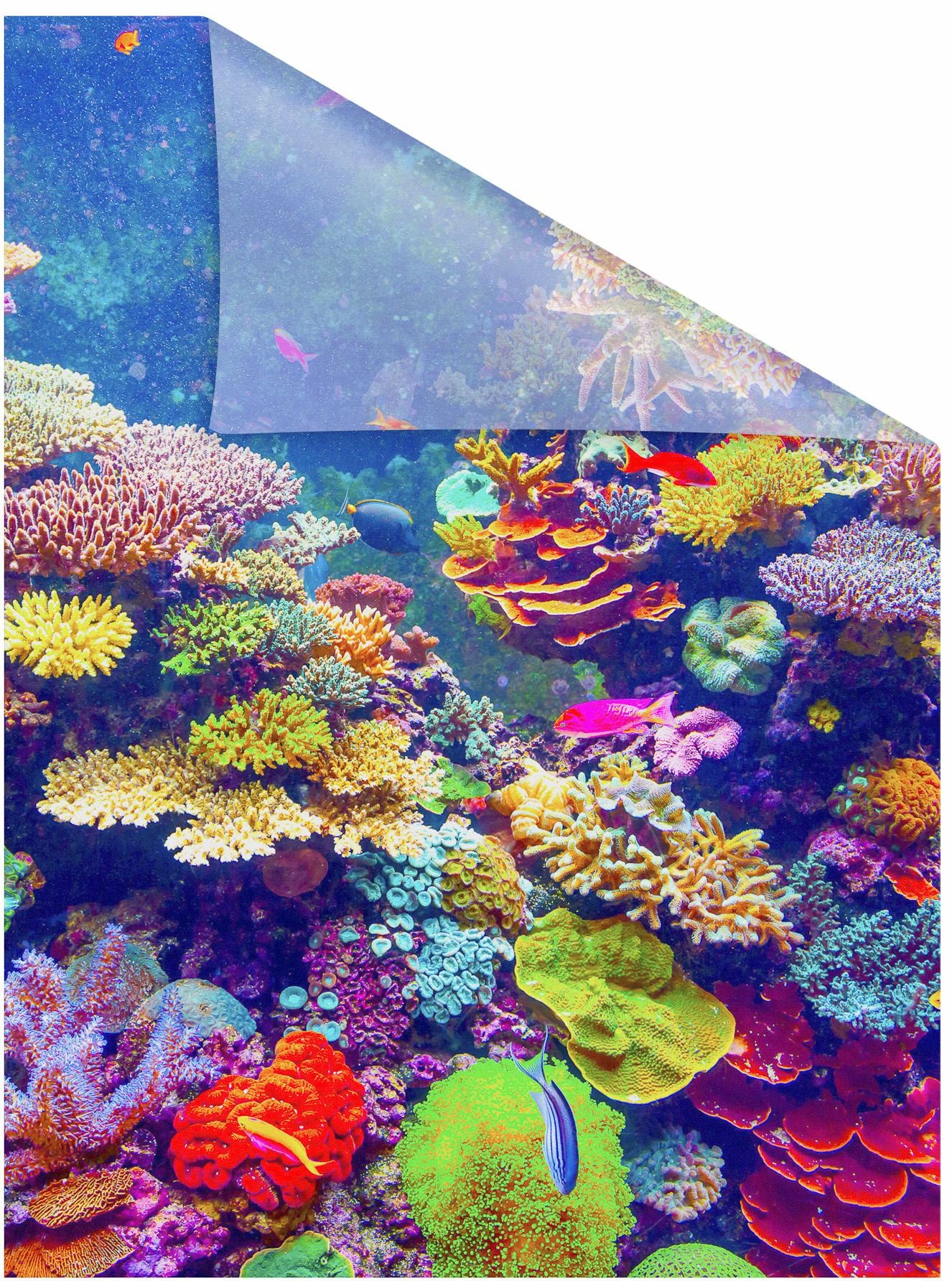 Image of LICHTBLICK ORIGINAL Fensterfolie "Aquarium" 1 Stk. blickdicht strukturiert Klebepunkte selbstklebend, Sichtschutz