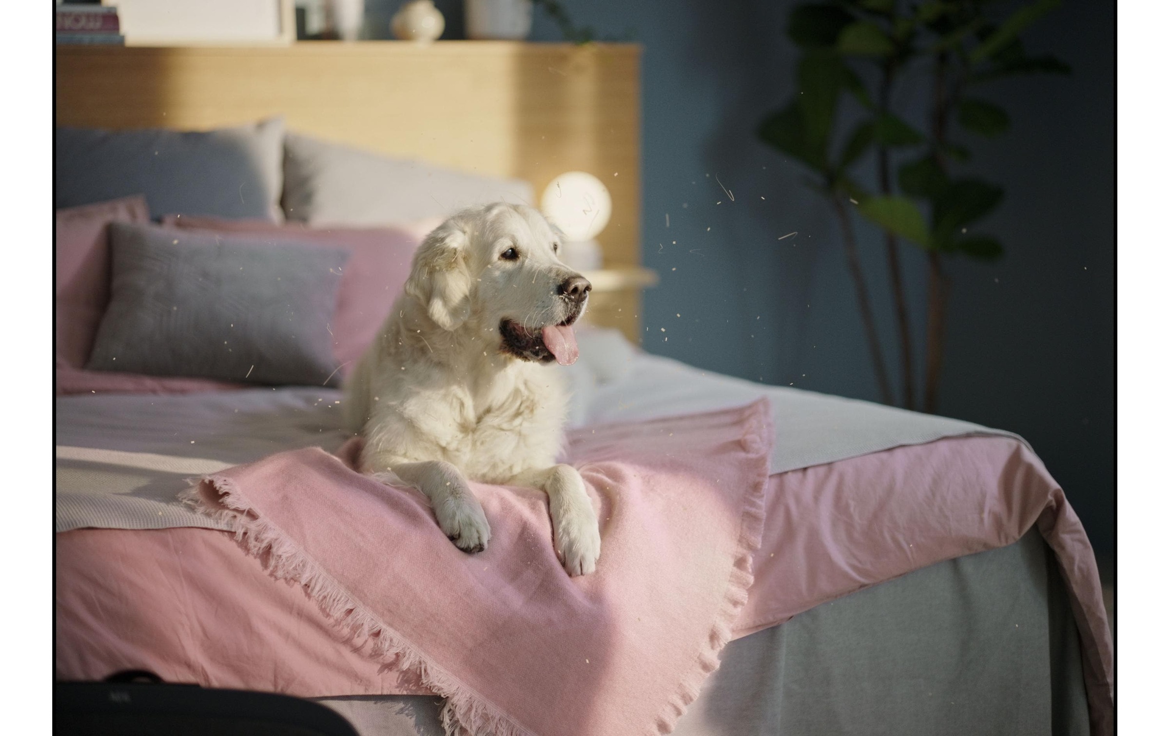 Electrolux Filtre à air »Clean zu Luftreiniger Well A5 oder Well A7«