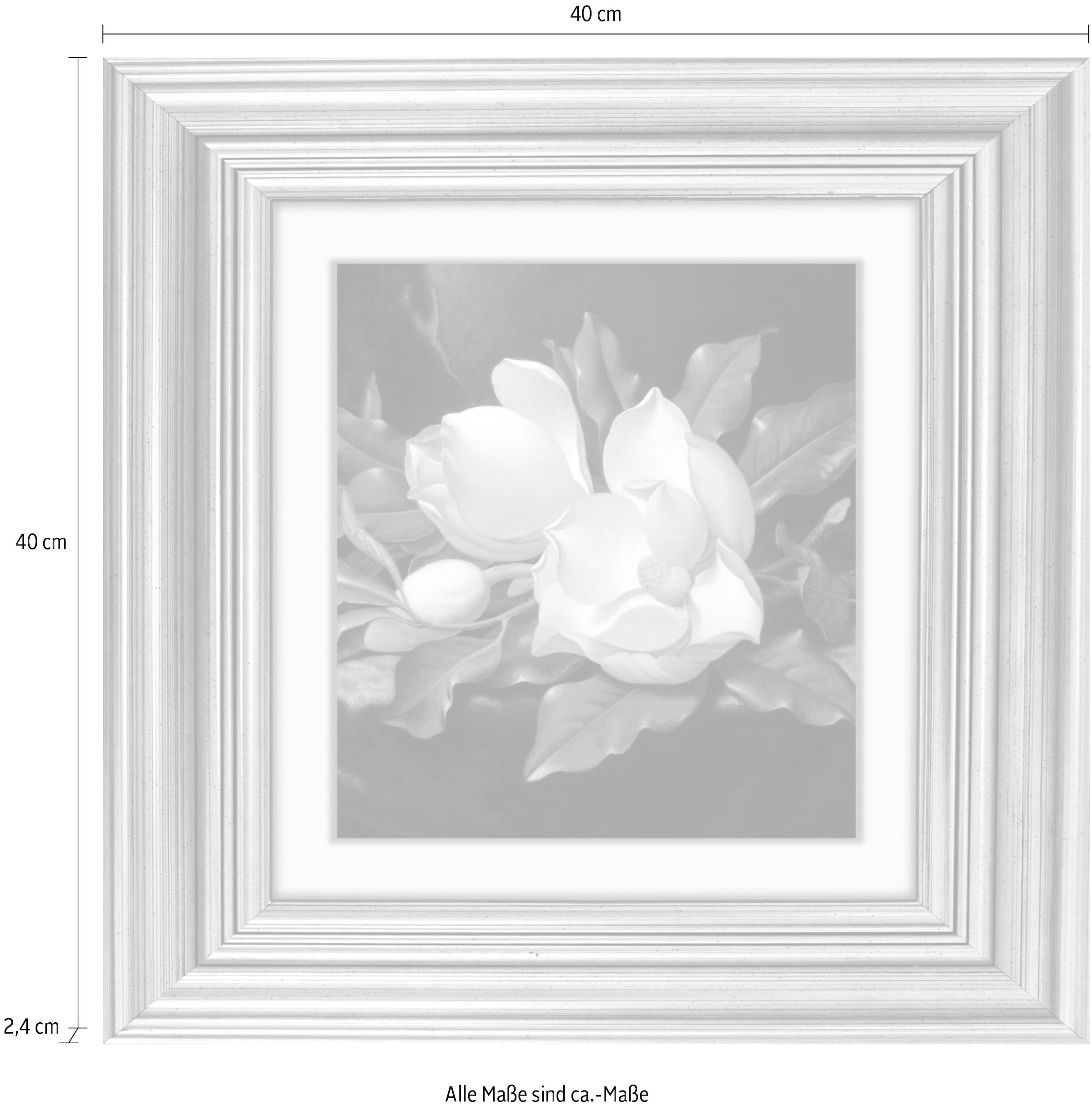 queence Acrylglasbild »Blumen«, Blumen-Blumenbilder-Kunst-Pflanzen-Pflanzenbilder-Gemälde, Fine Art-Print in Galeriequalität