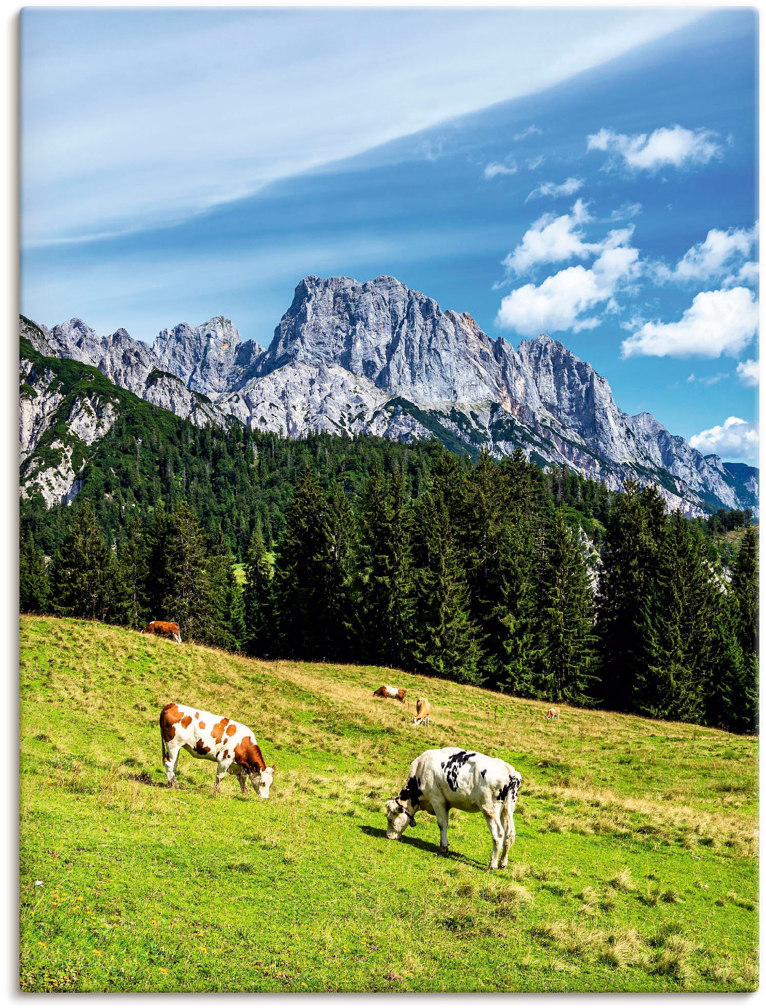 Image of Artland Wandbild »Blick auf die Litzlalm mit Kühen«, Berge & Alpenbilder, (1 St.), in vielen Grössen & Produktarten - Alubild / Outdoorbild für den Aussenbereich, Leinwandbild, Poster, Wandaufkleber / Wandtattoo auch für Badezimmer geeignet bei Ackermann 