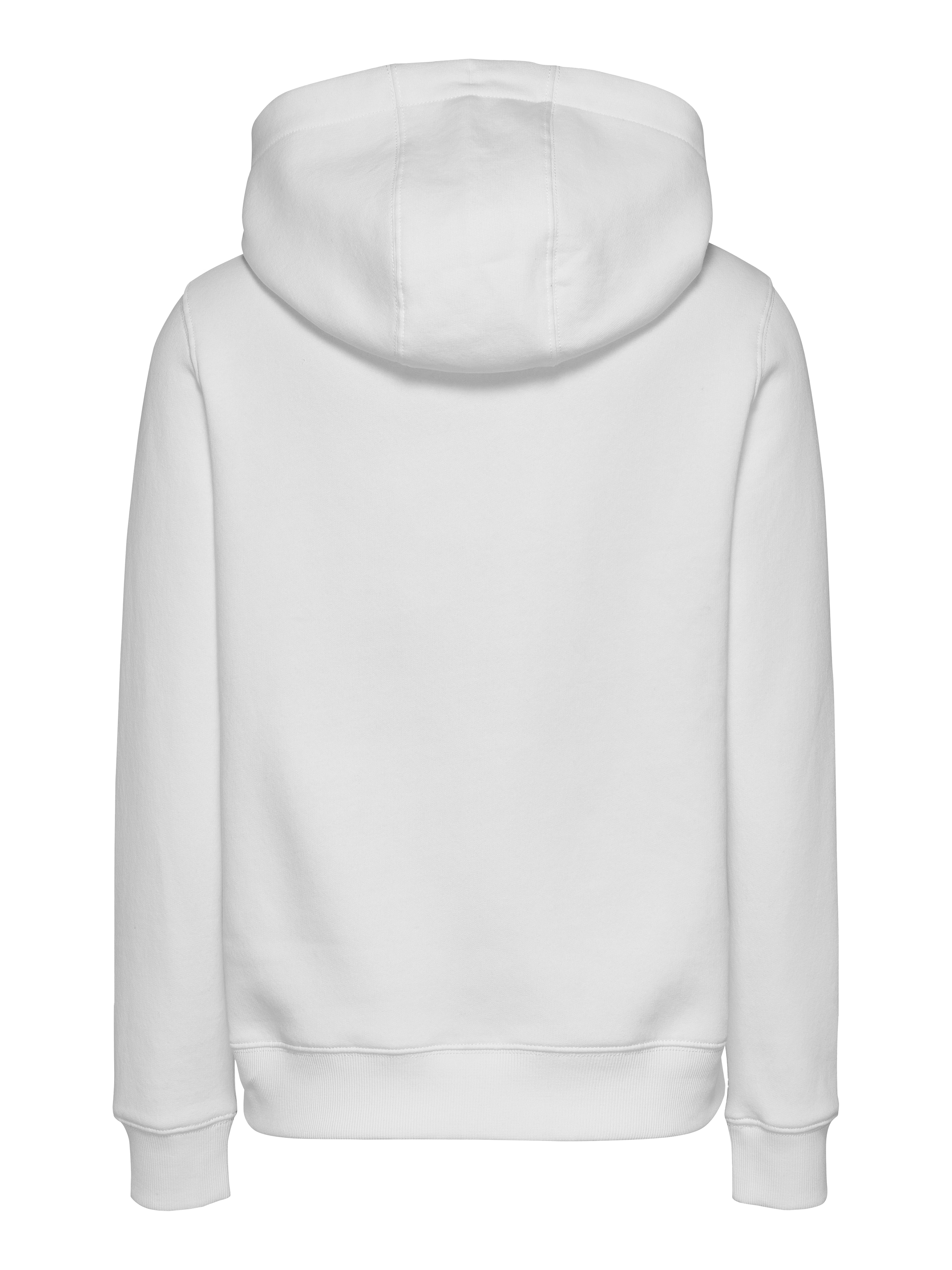 Tommy Jeans Curve Kapuzensweatshirt »TJW REG ESS LOGO HOODIE EXT«, in Grossen Grössen, Kapuze, Logo-Flag