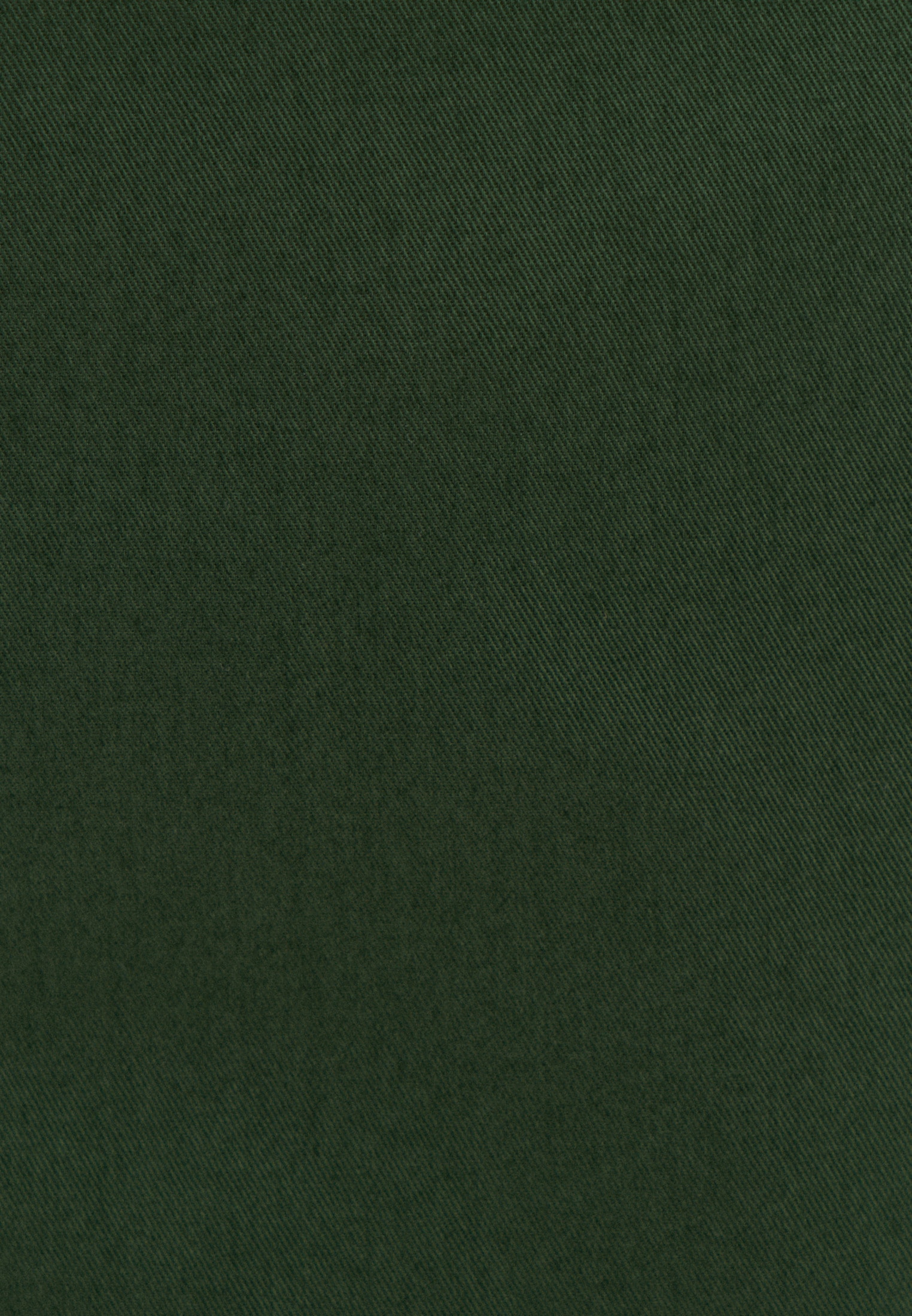 studio seidensticker Shorts »Studio«