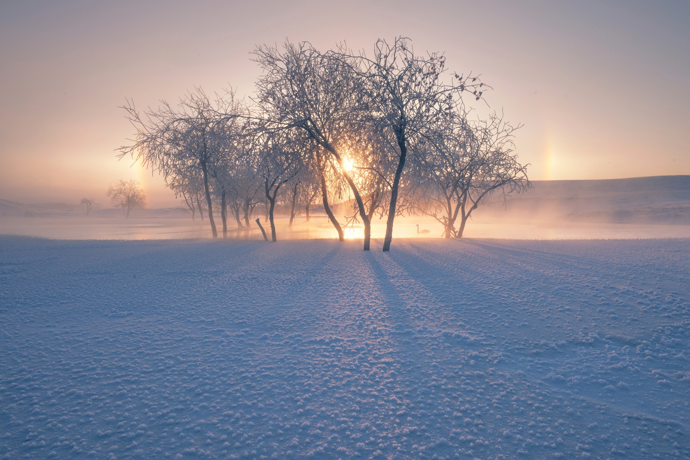 Image of Papermoon Fototapete »Photo-Art BINGO Z, SCHNEELANDSCHAFT IM WINTER«, Vliestapete, hochwertiger Digitaldruck, inklusive Kleister bei Ackermann Versand Schweiz