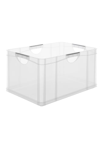 ROTHO Aufbewahrungsbox »A3 transparent 55l«, (1 St.) kaufen