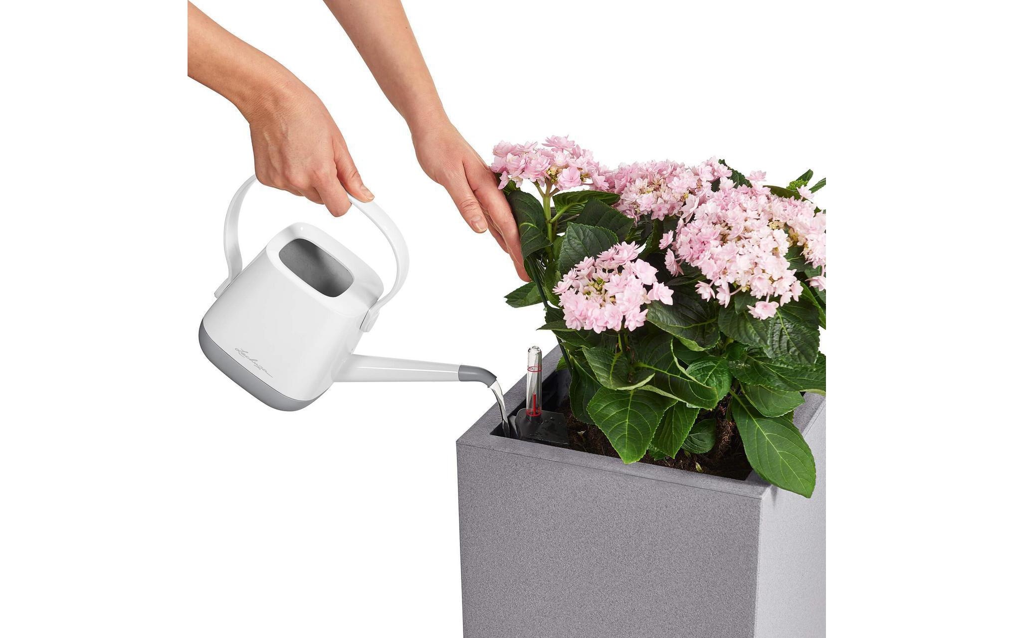 Blumentopf »Lechuza Canto Color High«