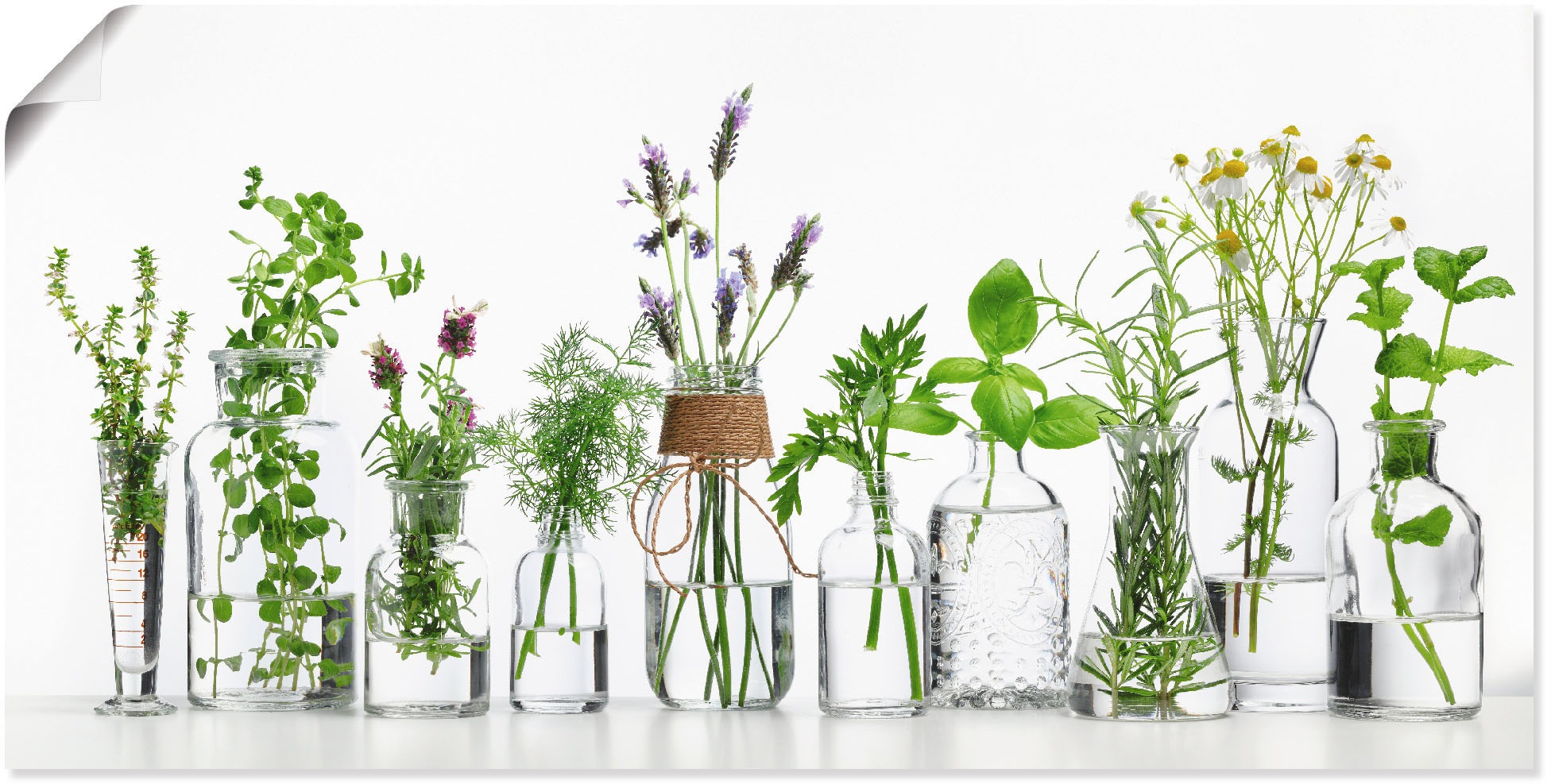 Image of Artland Wandbild »Öle mit Kräutern«, Kräuterbilder, (1 St.), in vielen Grössen & Produktarten - Alubild / Outdoorbild für den Aussenbereich, Leinwandbild, Poster, Wandaufkleber / Wandtattoo auch für Badezimmer geeignet bei Ackermann Versand Schweiz