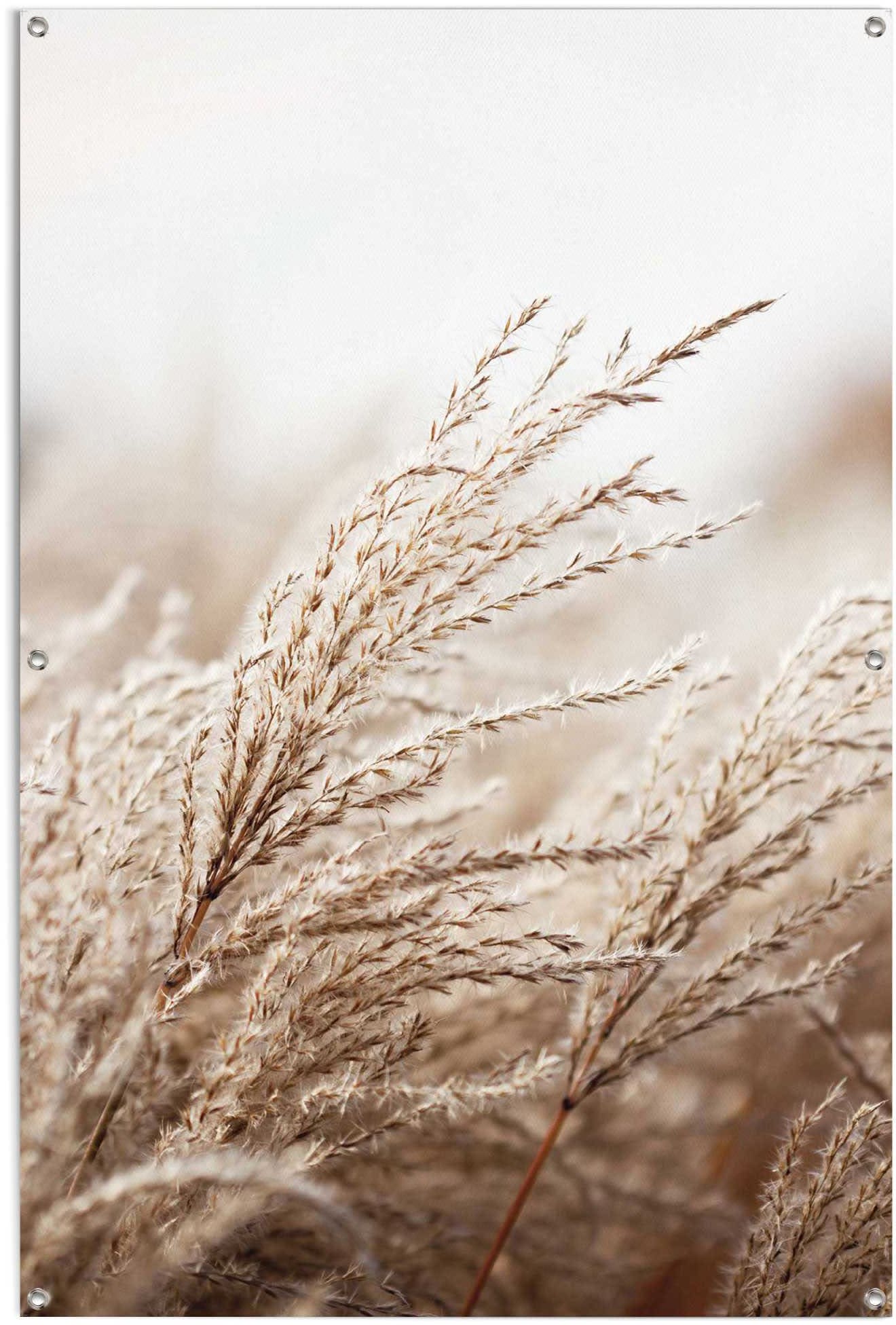 Image of Reinders! Poster »Gras«, leichtes und wasserfestes Gartenposter für den Ausseneinsatz bei Ackermann Versand Schweiz