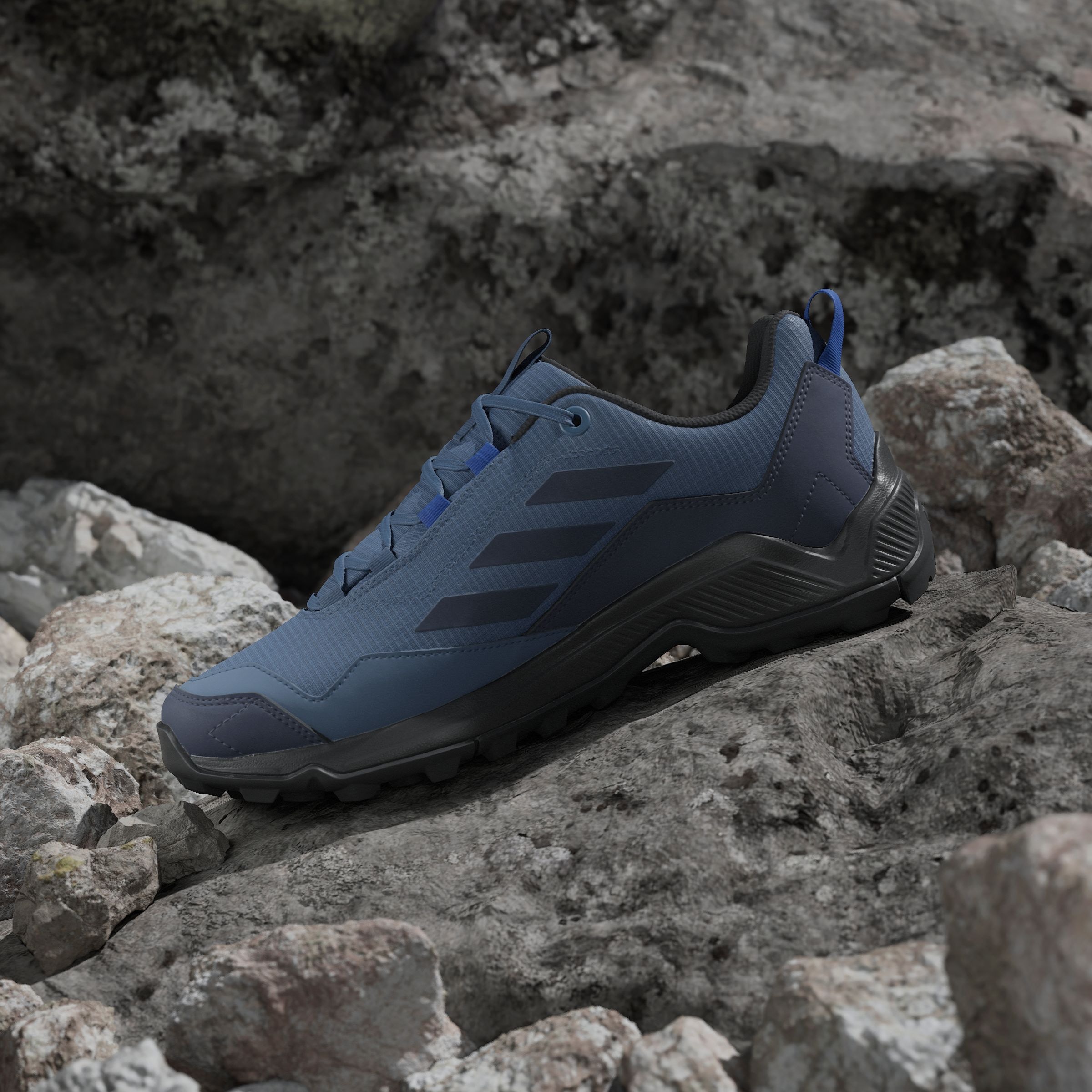 adidas TERREX Wanderschuh »TERREX EASTRAIL GORE-TEX«