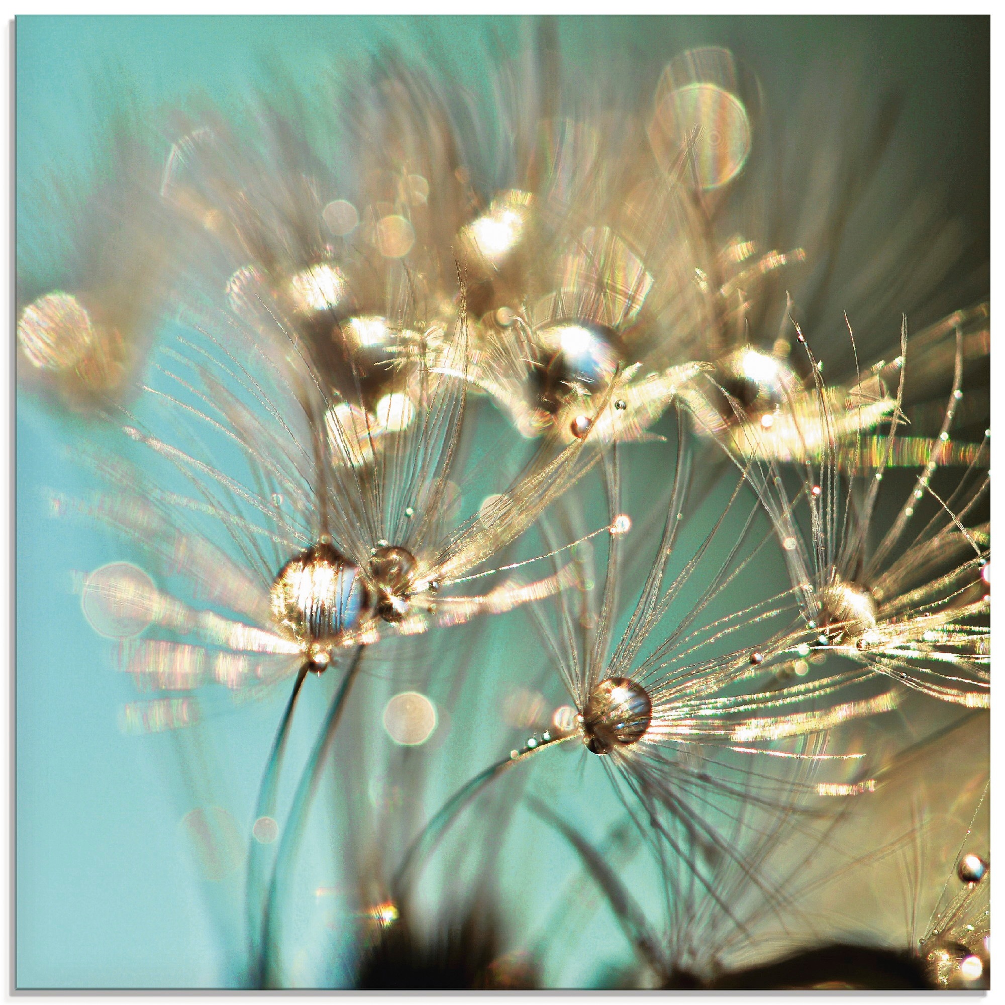 Image of Artland Glasbild "Pusteblume glänzendes Gold" Blumen 1 Stk. tlg. in verschiedenen Grössen