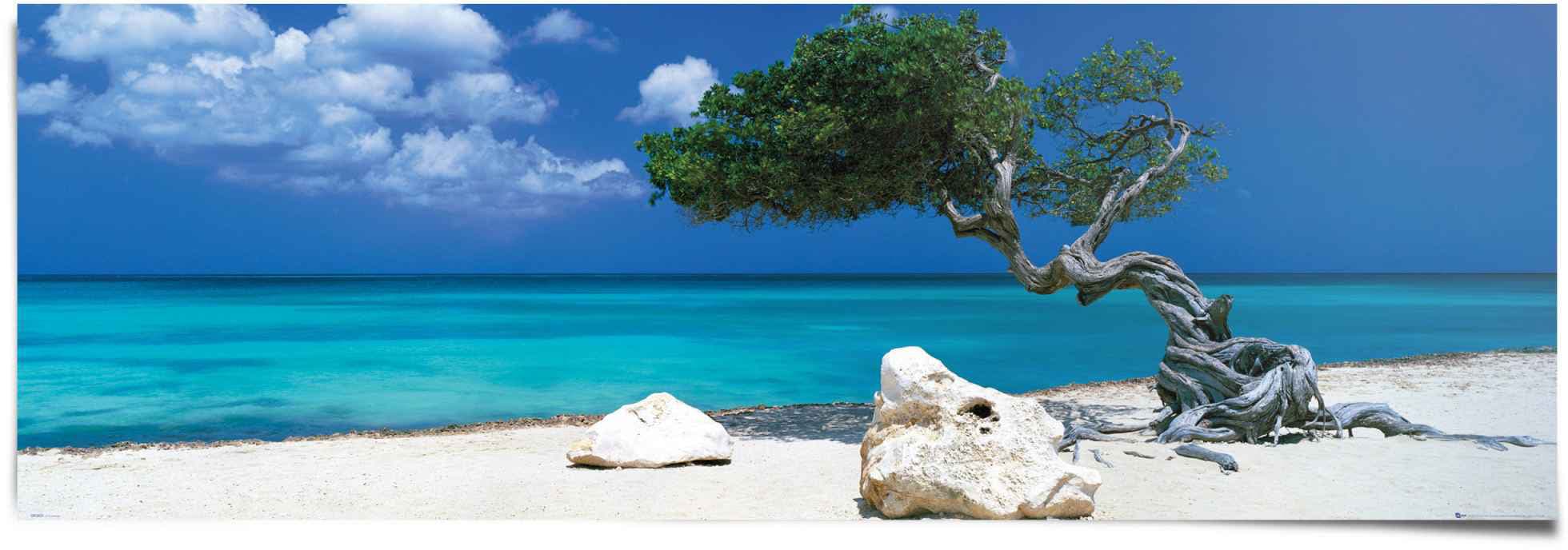 Image of Reinders Poster "Tom Mackie divi divi Baum" 1 Stk. tlg.