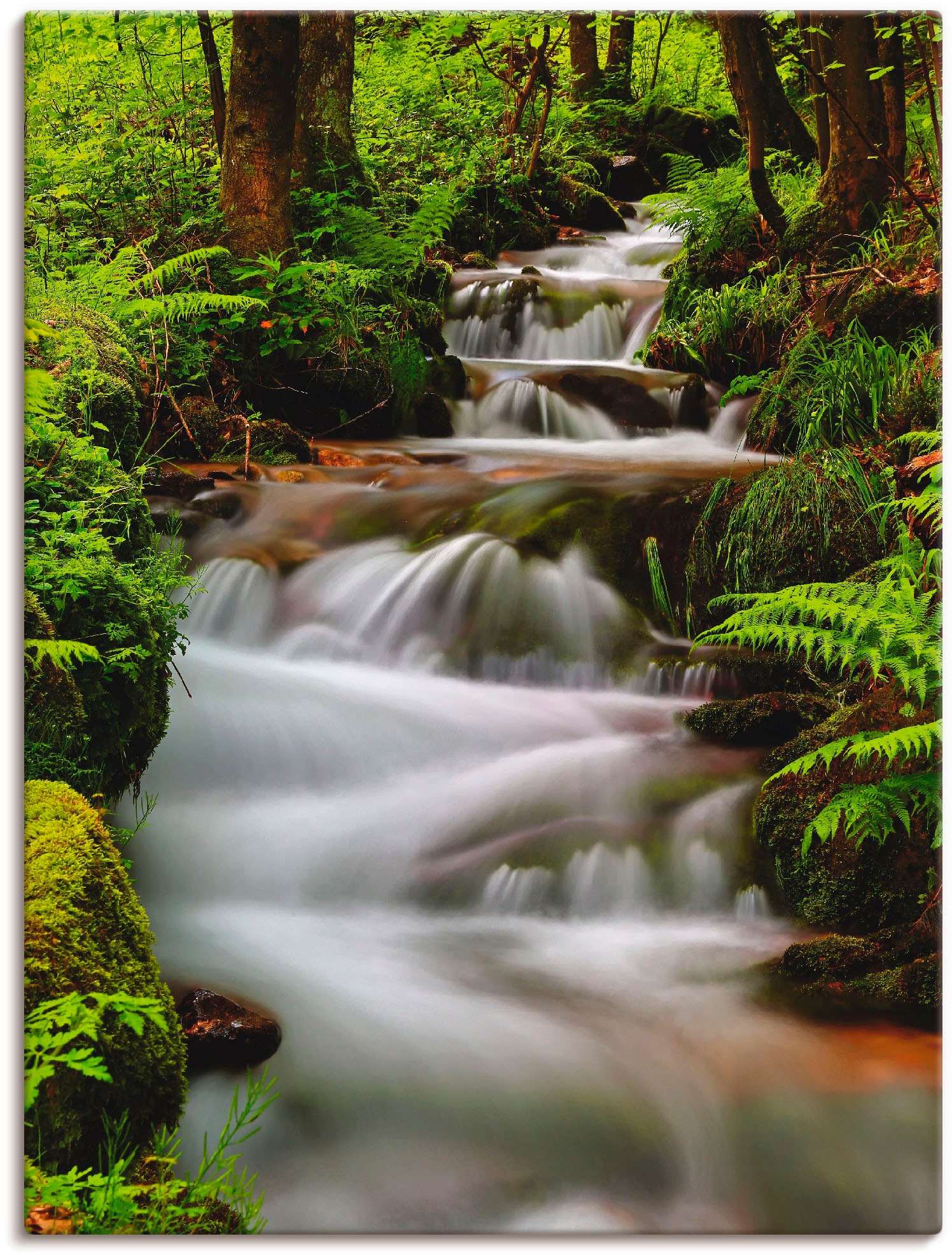 Image of Artland Wandbild »Schwarzwaldbach«, Gewässer, (1 St.), in vielen Grössen & Produktarten -Leinwandbild, Poster, Wandaufkleber / Wandtattoo auch für Badezimmer geeignet bei Ackermann Versand Schweiz
