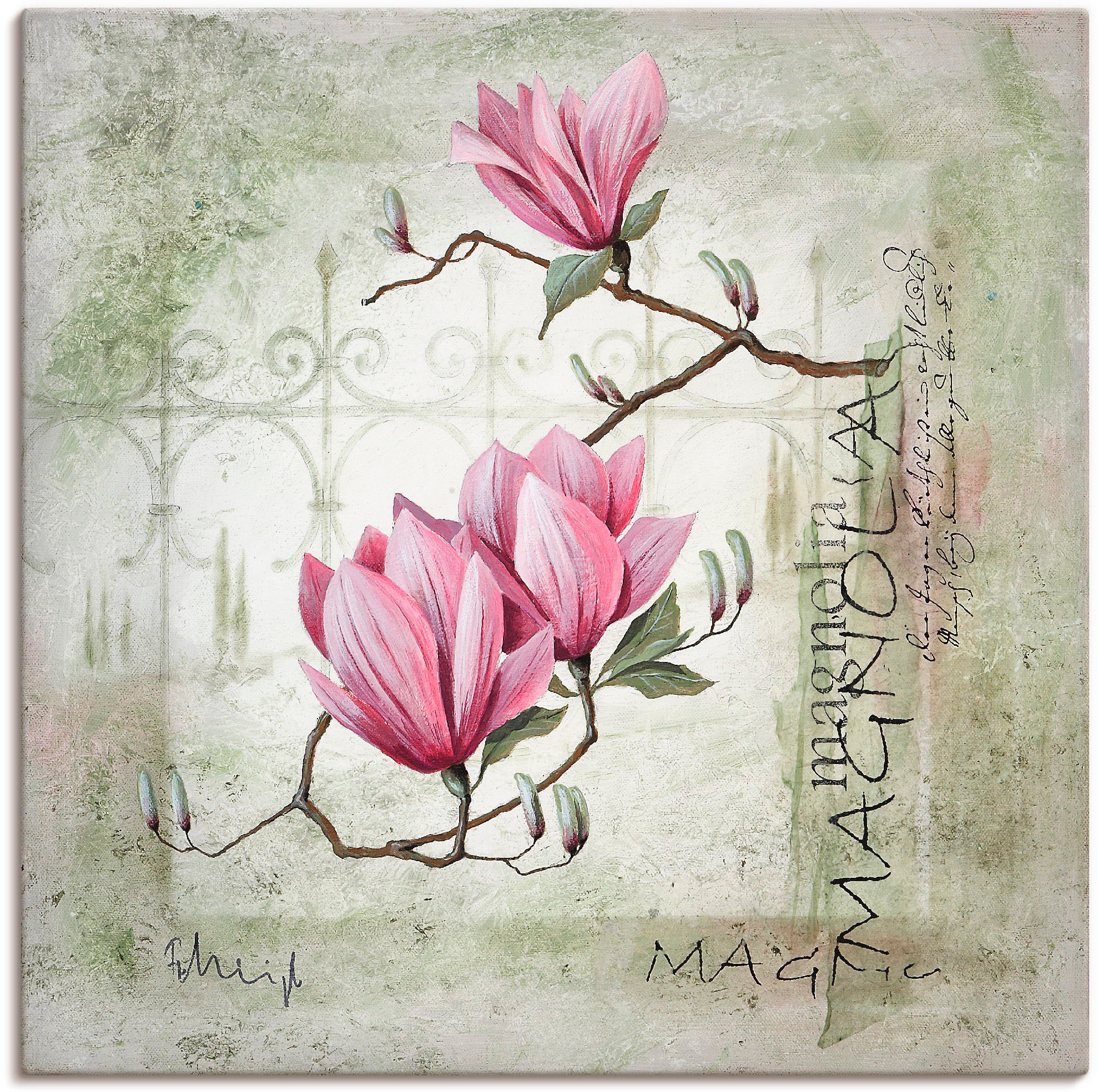 Image of Artland Wandbild "Pinke Magnolie" Blumen 1 Stk. tlg. als Leinwandbild, Poster in verschied. Grössen