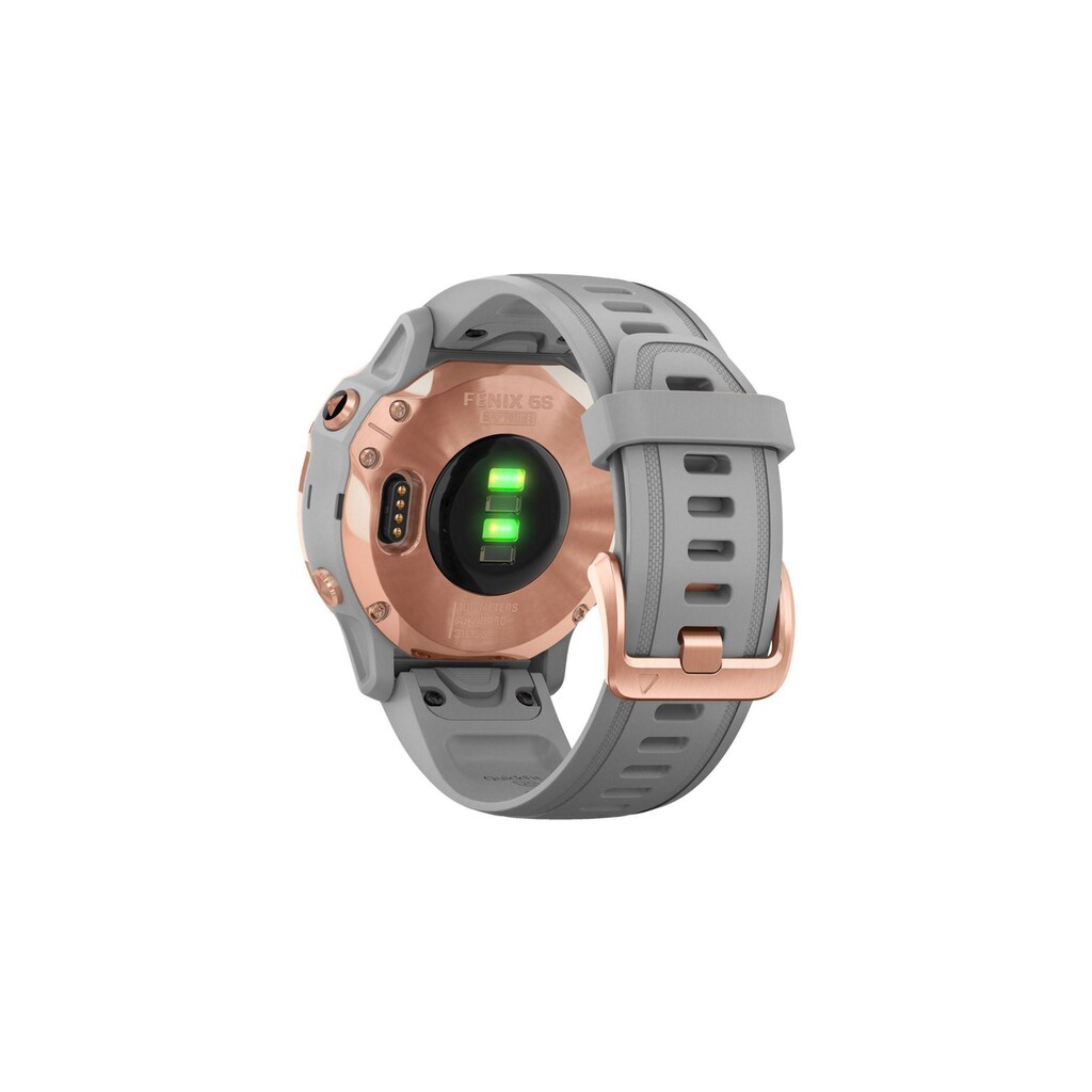 Garmin Smartwatch »fenix 6S Sapphire Schwarz/Silberfarben«