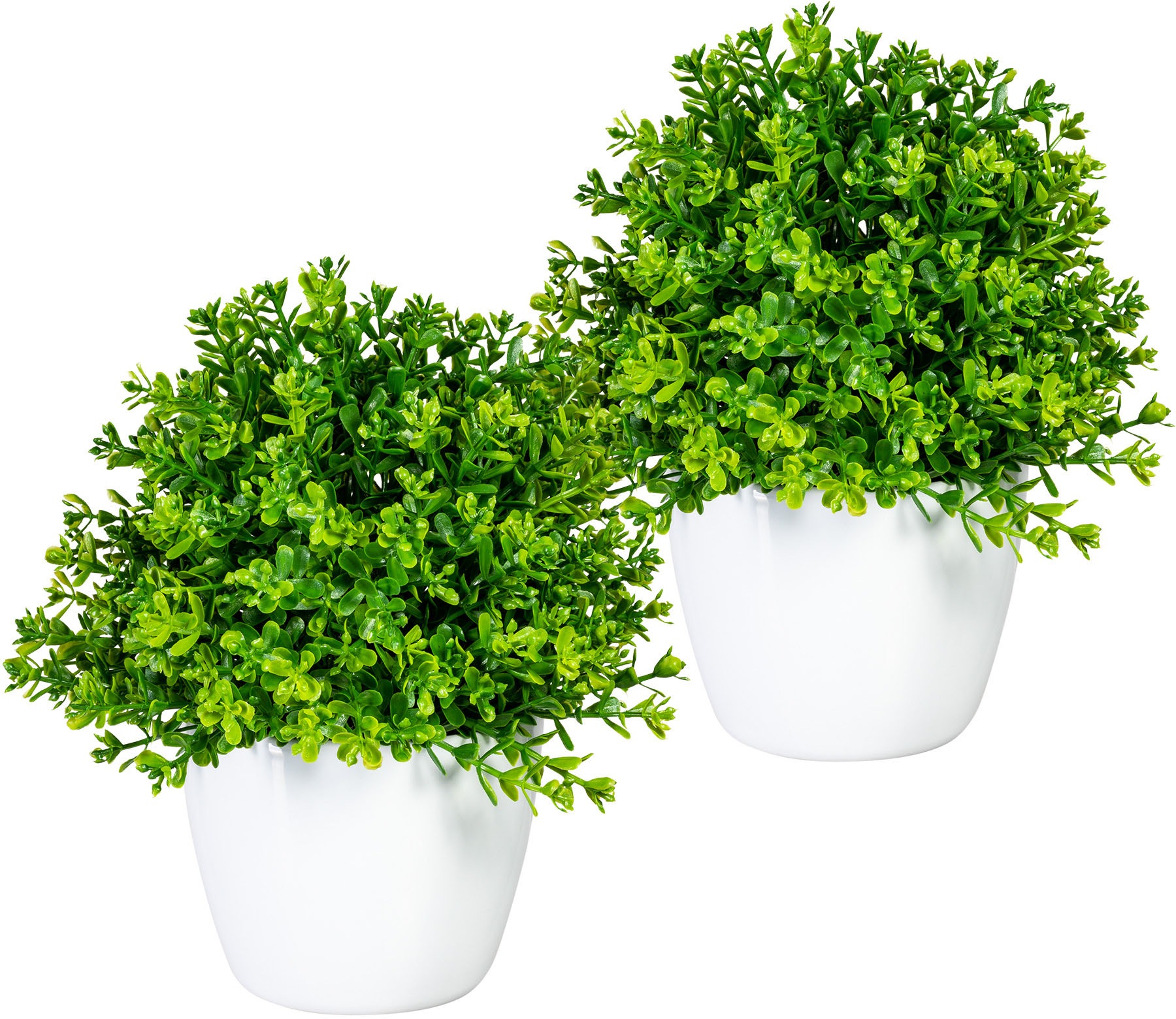 Image of Home affaire Kunstpflanze »Moulins«, (2 St.), im Topf, 2er Set bei Ackermann Versand Schweiz