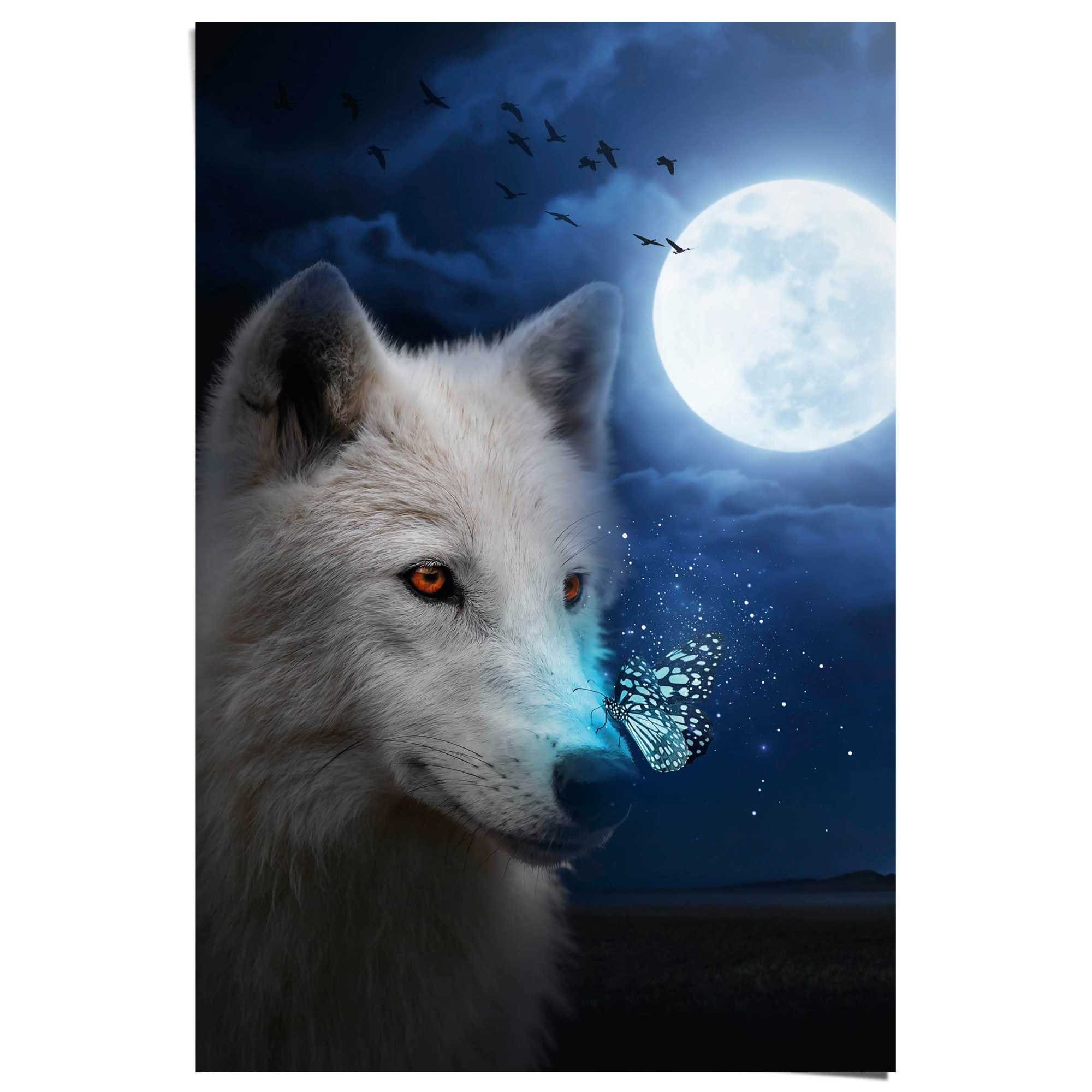 Image of Reinders Poster "Weisser Wolf"