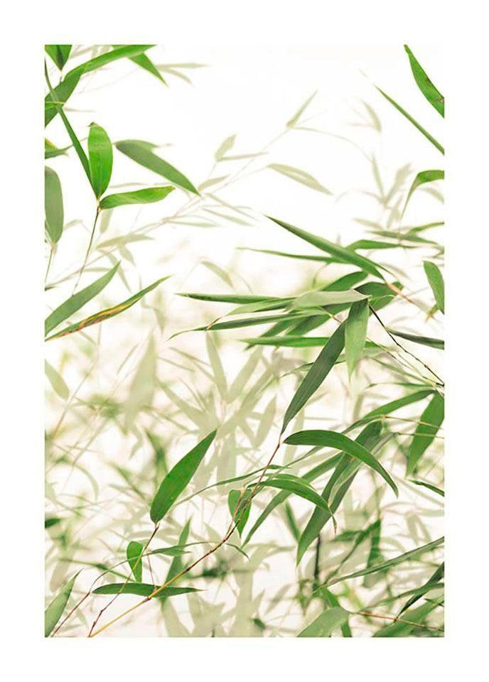 Poster »Bamboo Leaves«, Pflanzen-Blätter, (1 St.), Kinderzimmer, Schlafzimmer, Wohnzimmer