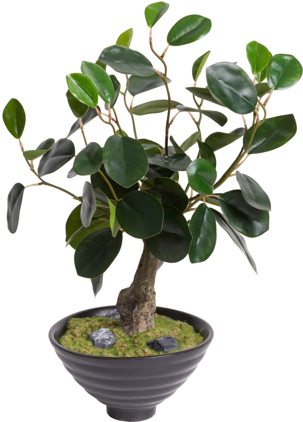 Image of Botanic-Haus Kunstbonsai »Bonsai«, (1 St.) bei Ackermann Versand Schweiz