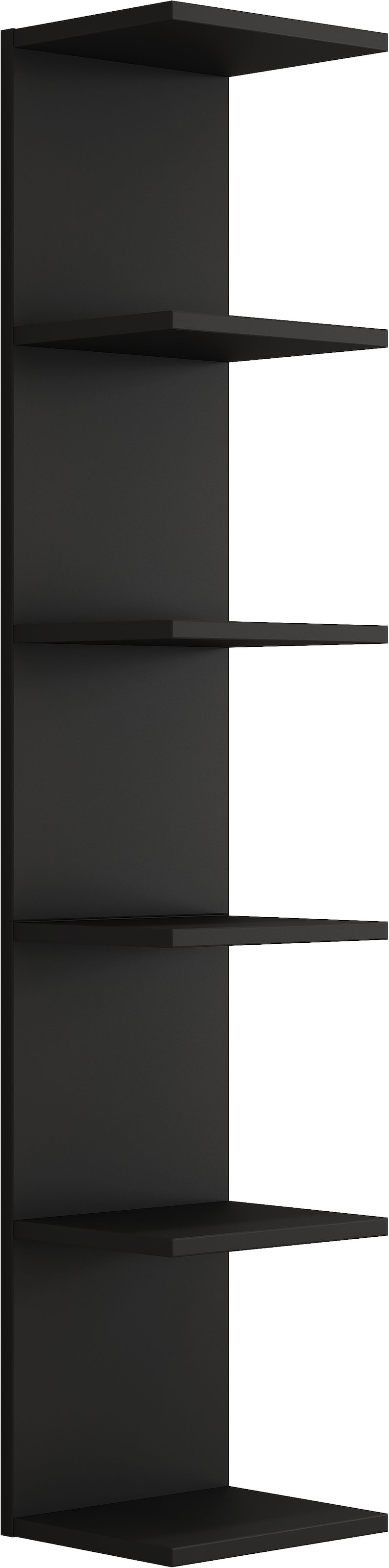 GOODproduct Wandregal »Moid« dekorativer Stauraum, Wandmontage