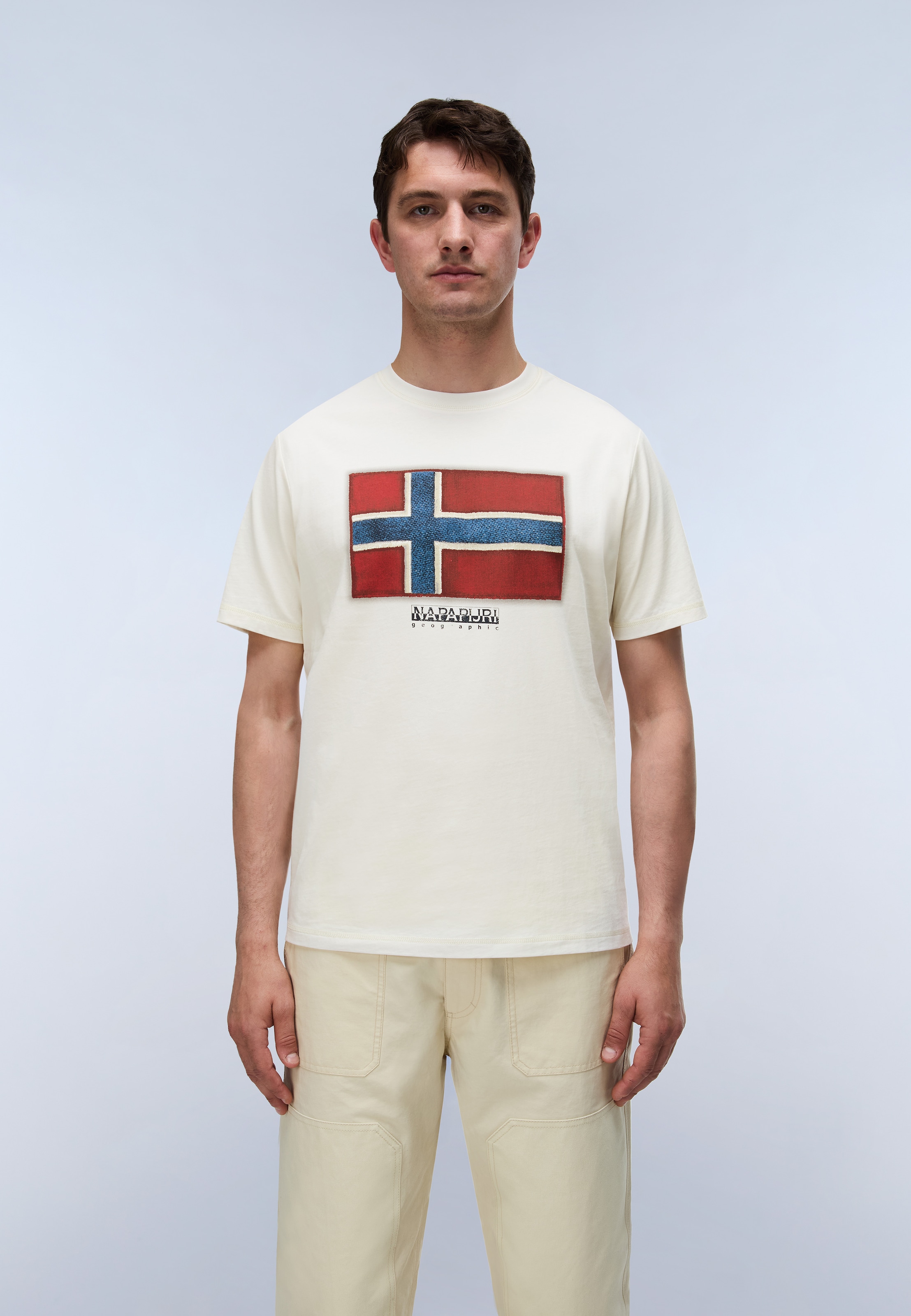 Image of Napapijri T-Shirt "S-FLAG TIKI SS BLACK BEAUTY" mit Rundhalsausschnitt, aus Baumwolle, T-Shirt-Schnitt, normale Länge