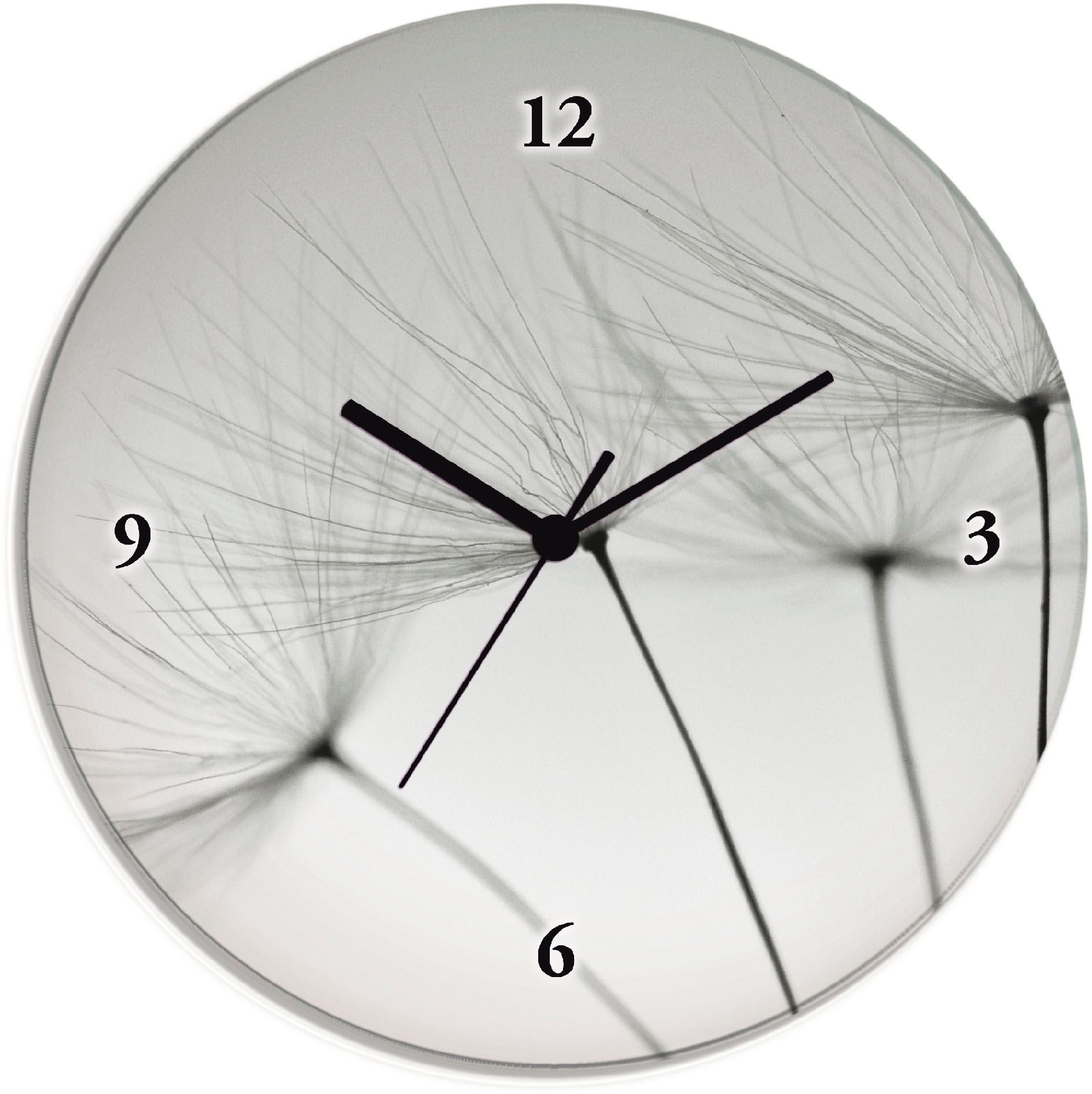 Image of Artland Wanduhr "Pusteblumen-Samen" wahlweise mit Quarz- oder Funkuhrwerk, lautlos ohne Tickgeräusche