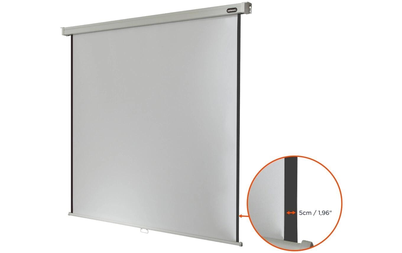 Celexon Rolloleinwand »Pro 290x290 cm«