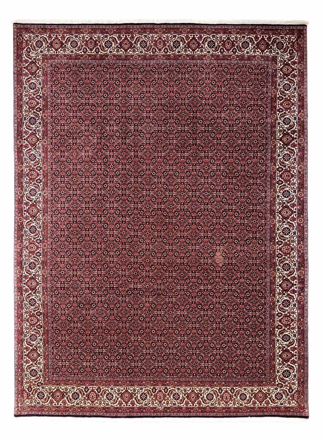 Image of morgenland Wollteppich »Bidjar Takab Durchgemustert Rosso scuro 346 x 250 cm«, rechteckig, 1,3 mm Höhe, Unikat mit Zertifikat bei Ackermann Versand Schweiz