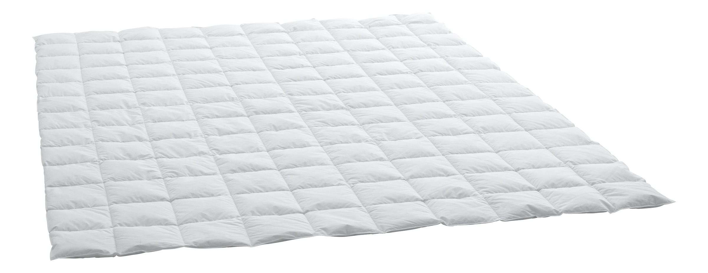 Image of Swiss Dream by billerbeck Daunenbettdecke »Basic 90«, extraleicht, Füllung 90% neuen, reinen Entendaunen und 10% Entenfedern, Bezug 100% Baumwolle, soft-touch-finish™, hydrophil und atmungsaktiv, (1 St.), Swiss Made bei Ackermann Versand Schweiz