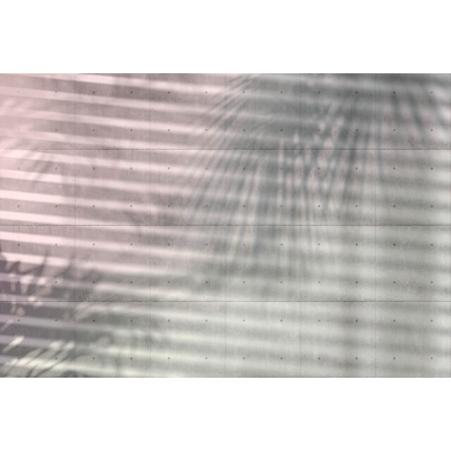 Entdecke Komar Vliestapete »Shadows«, 368x248 cm (Breite x Höhe), inklusive  Kleister auf