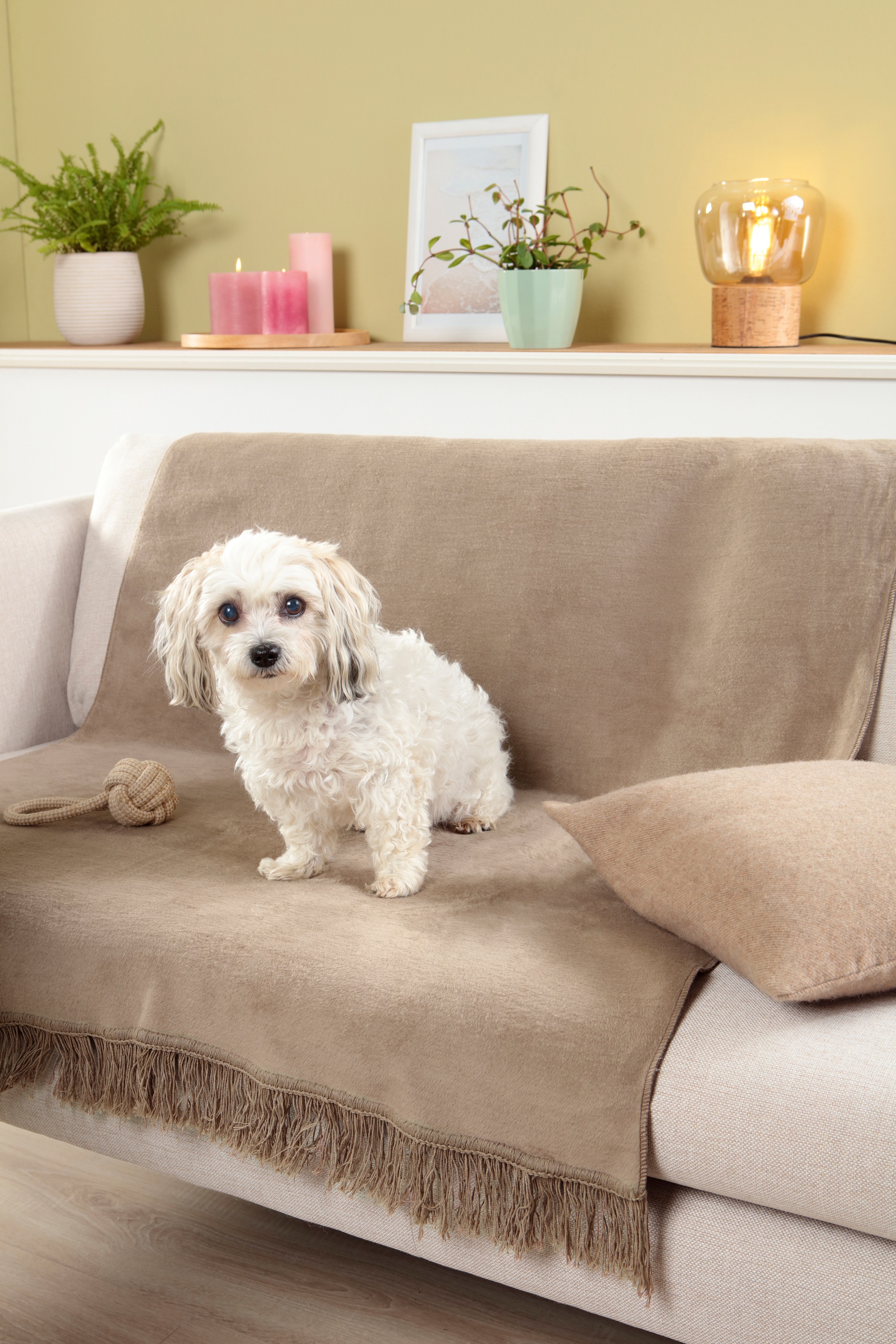 Biederlack Sesselschoner »Cotton Cover«, mit Fransen