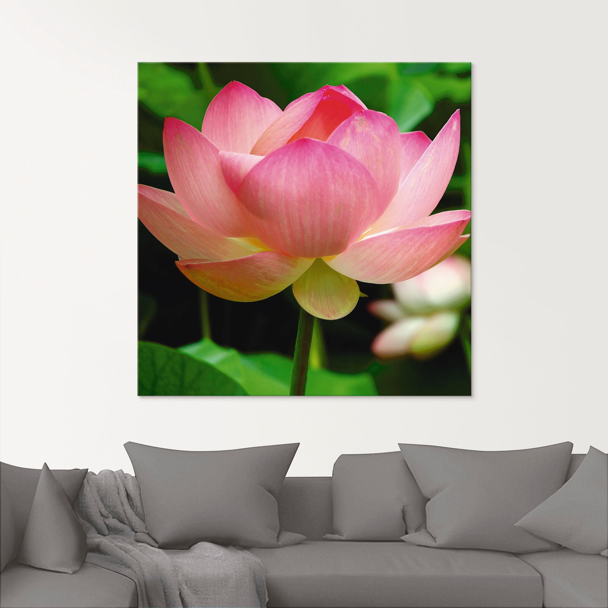 Artland Glasbild »Lotus - Seerose«, Blumen, (1 St.), in verschiedenen Grössen