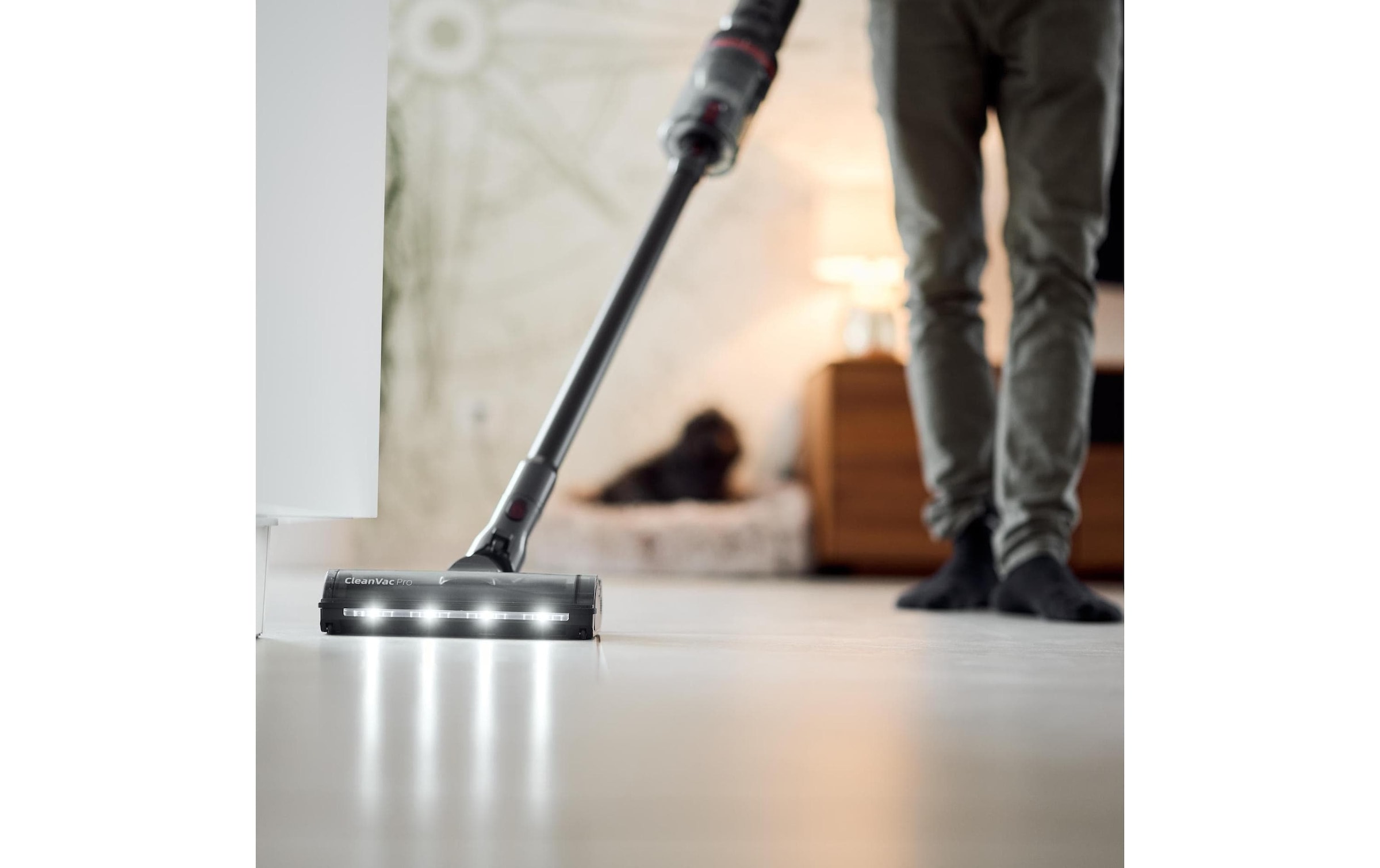   Akku-Hand-und Stielstaubsauger »Ecofort ecoQ CleanVac Pro Animal«